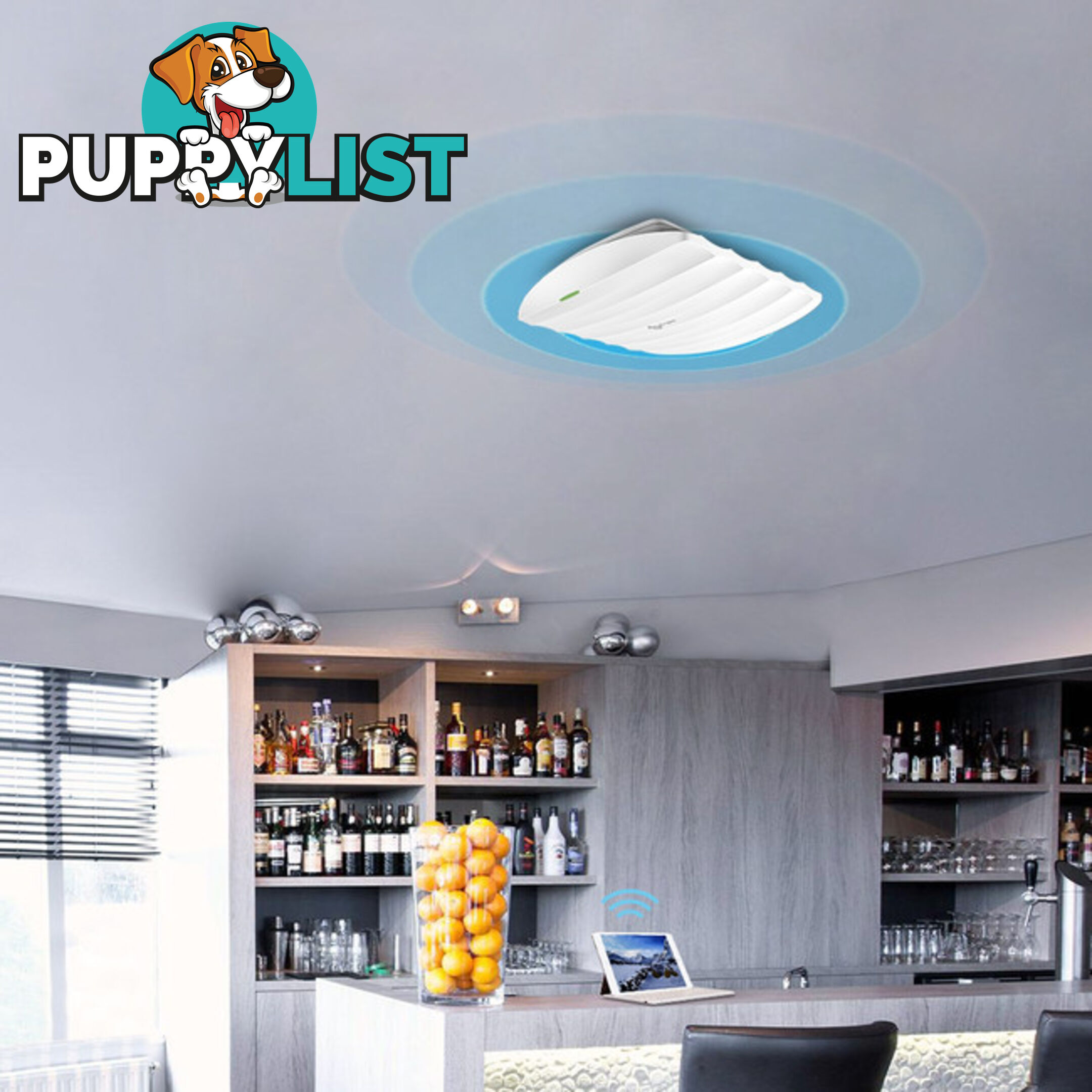 EAP115 300N WIRELESS CEILING AP