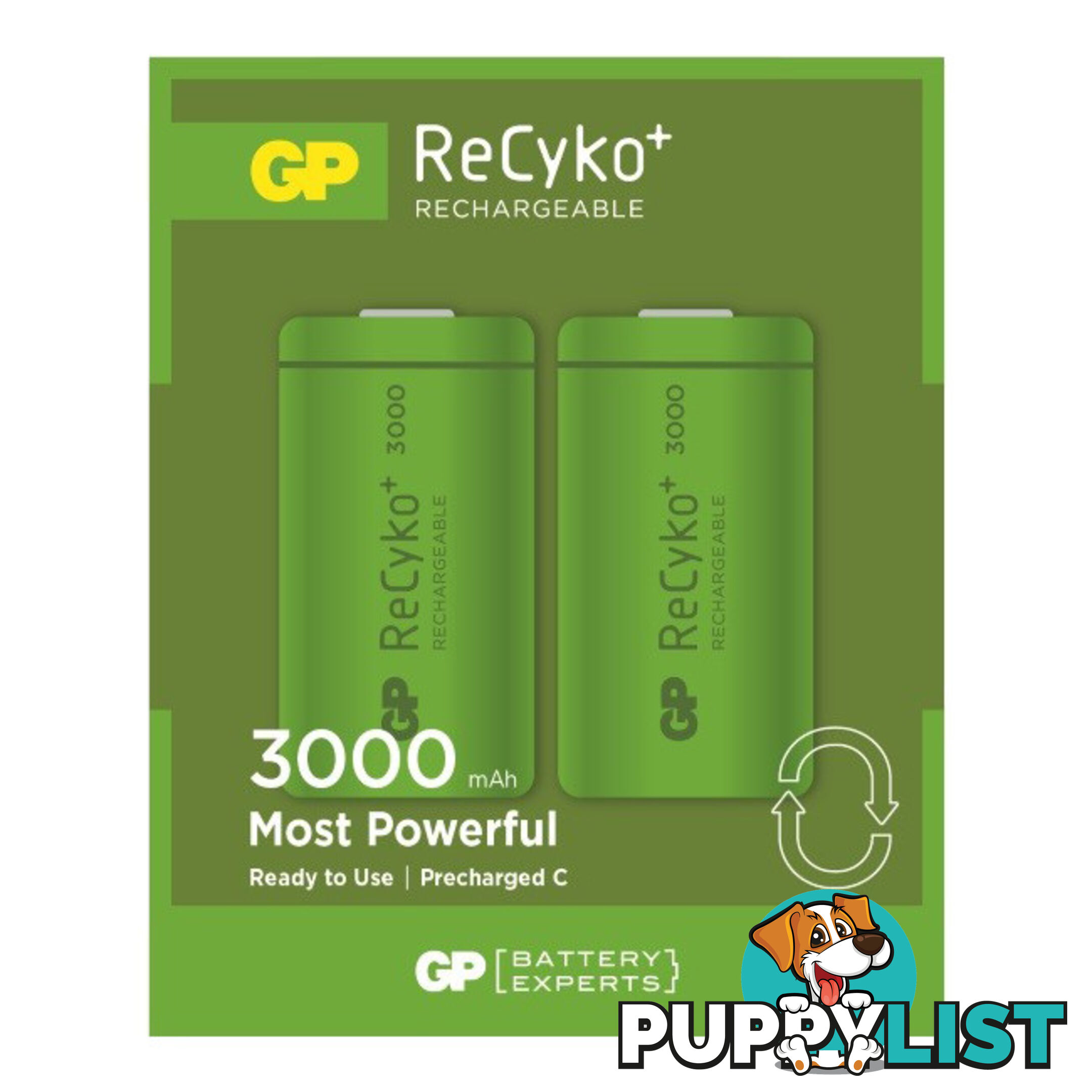 300CHCB-C2 3000MA RECYKO+ 'C' BATTERY 2PK RECHARGEABLE NIMH GP