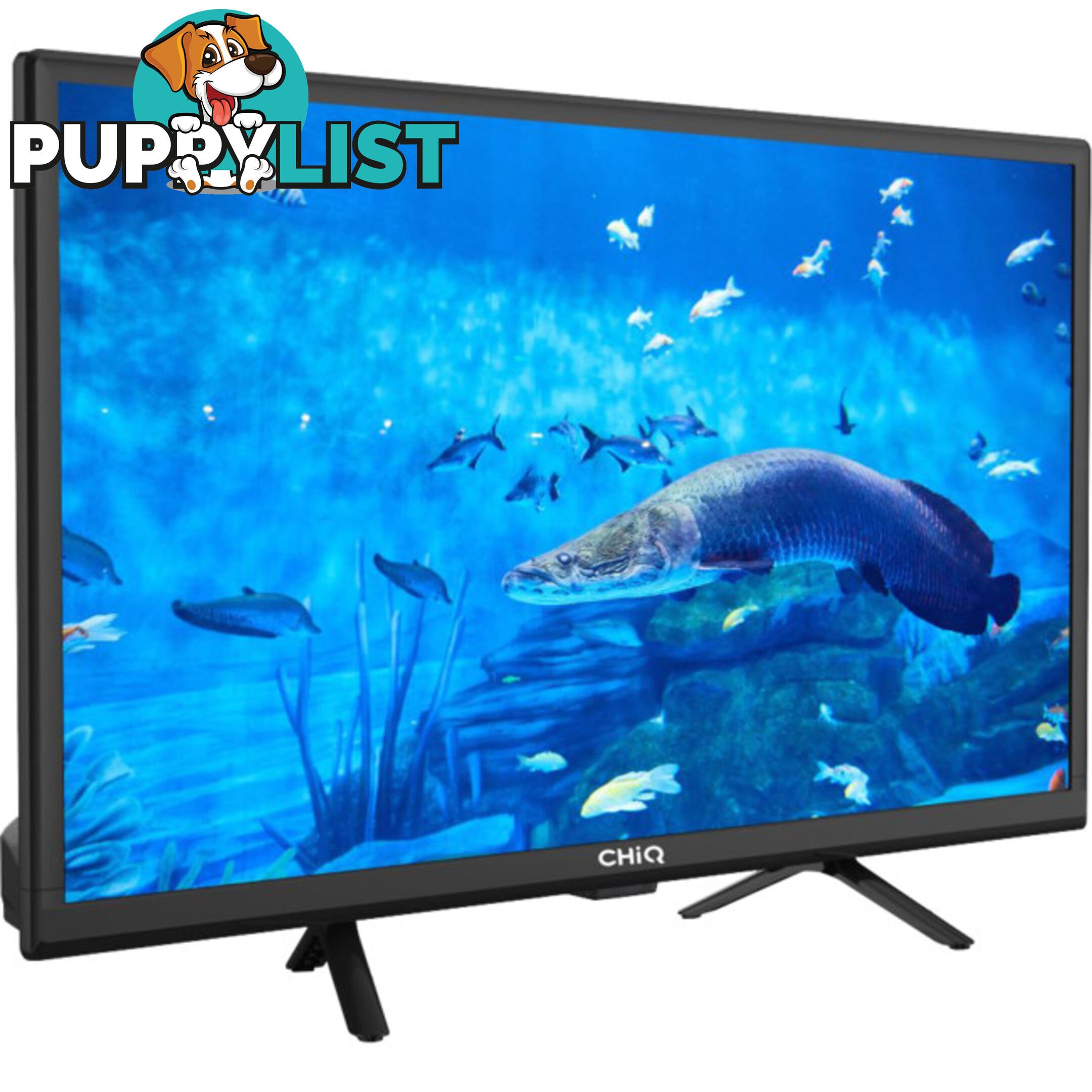 L24G5W CHIQ 23.6" HD LED TV WITH PVR