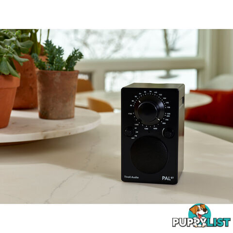 PALBT-BLK BLUETOOTH / FM / AM PORTABLE RADIO - BLACK