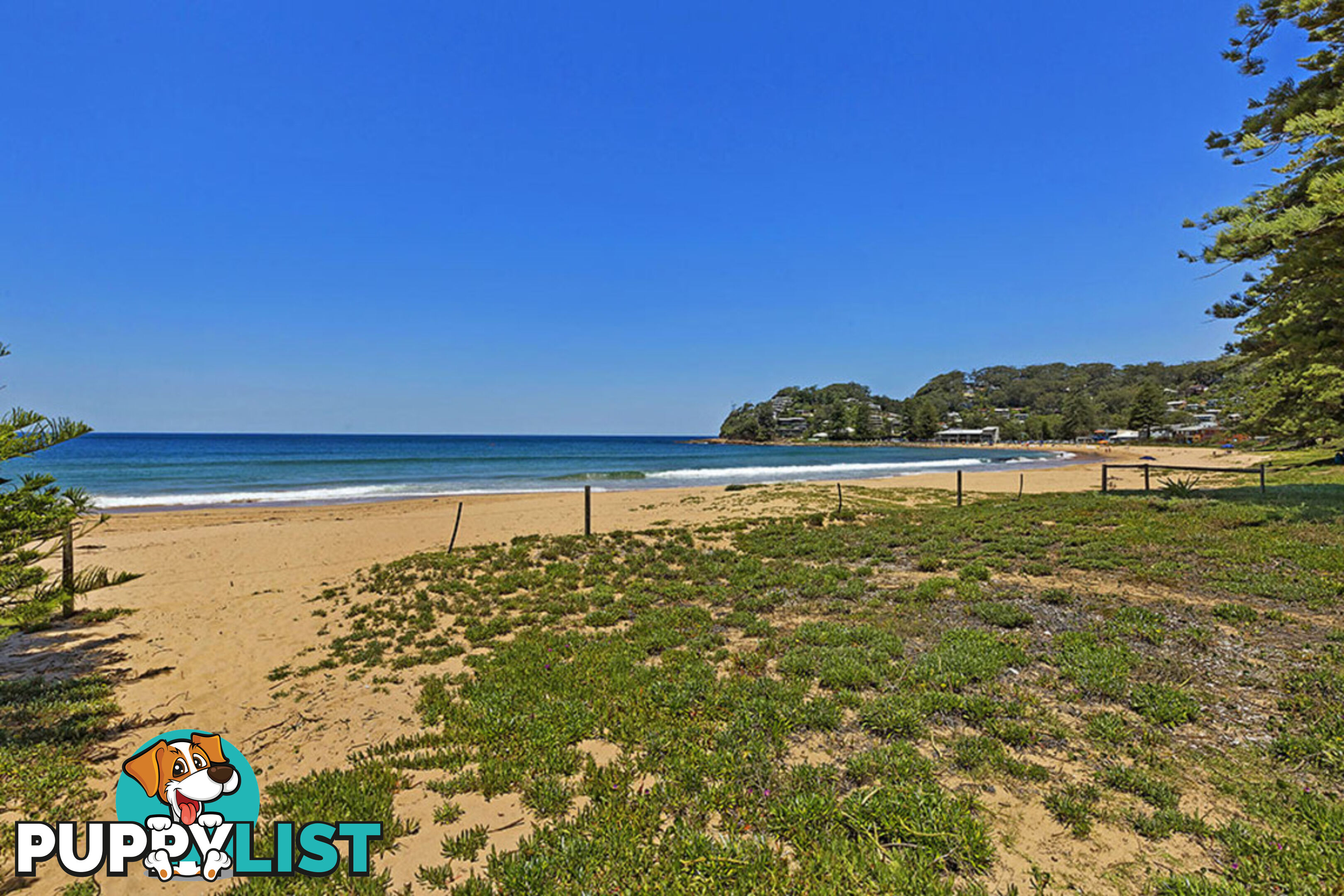 2/145 Avoca Drive AVOCA BEACH NSW 2251