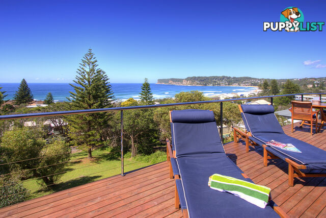 44 Tramway Road NORTH AVOCA NSW 2260