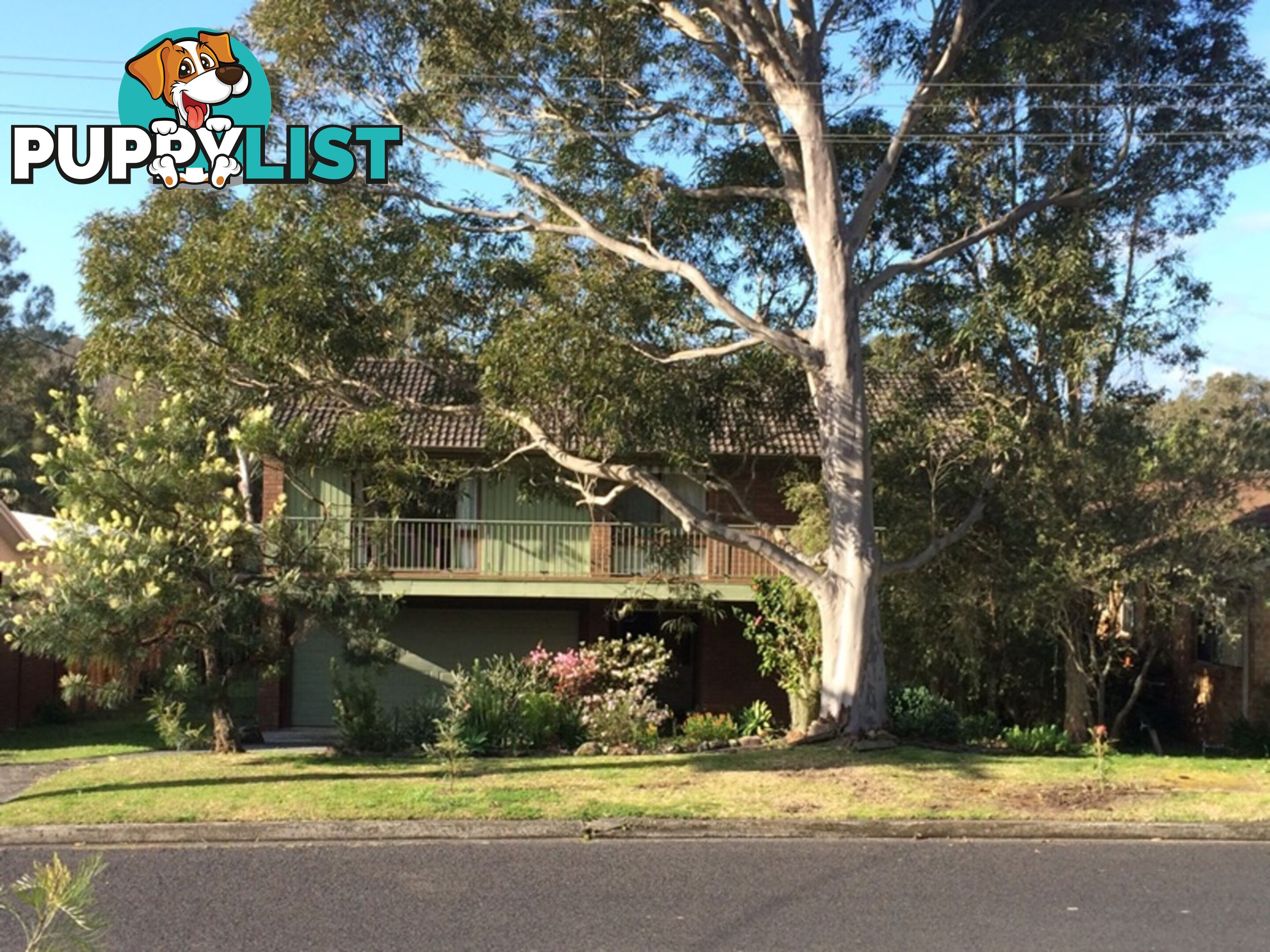 17 Newell Road MACMASTERS BEACH NSW 2251