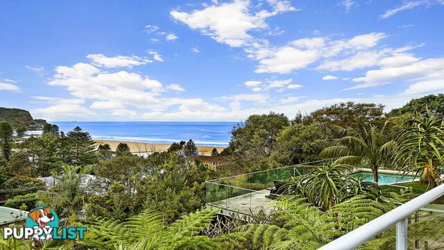 6 Yodalla Place AVOCA BEACH NSW 2251