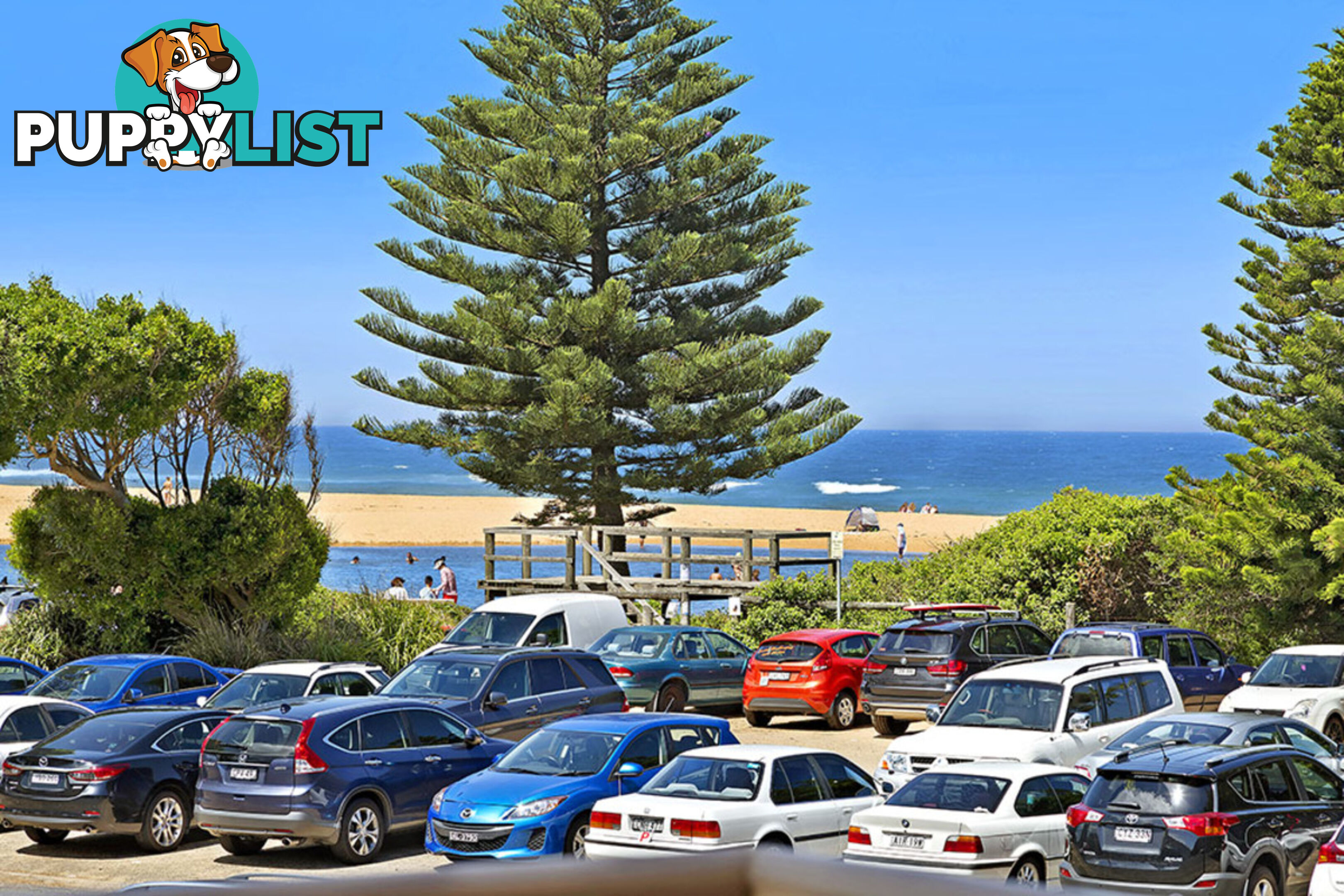 1/171 Avoca Drive AVOCA BEACH NSW 2251