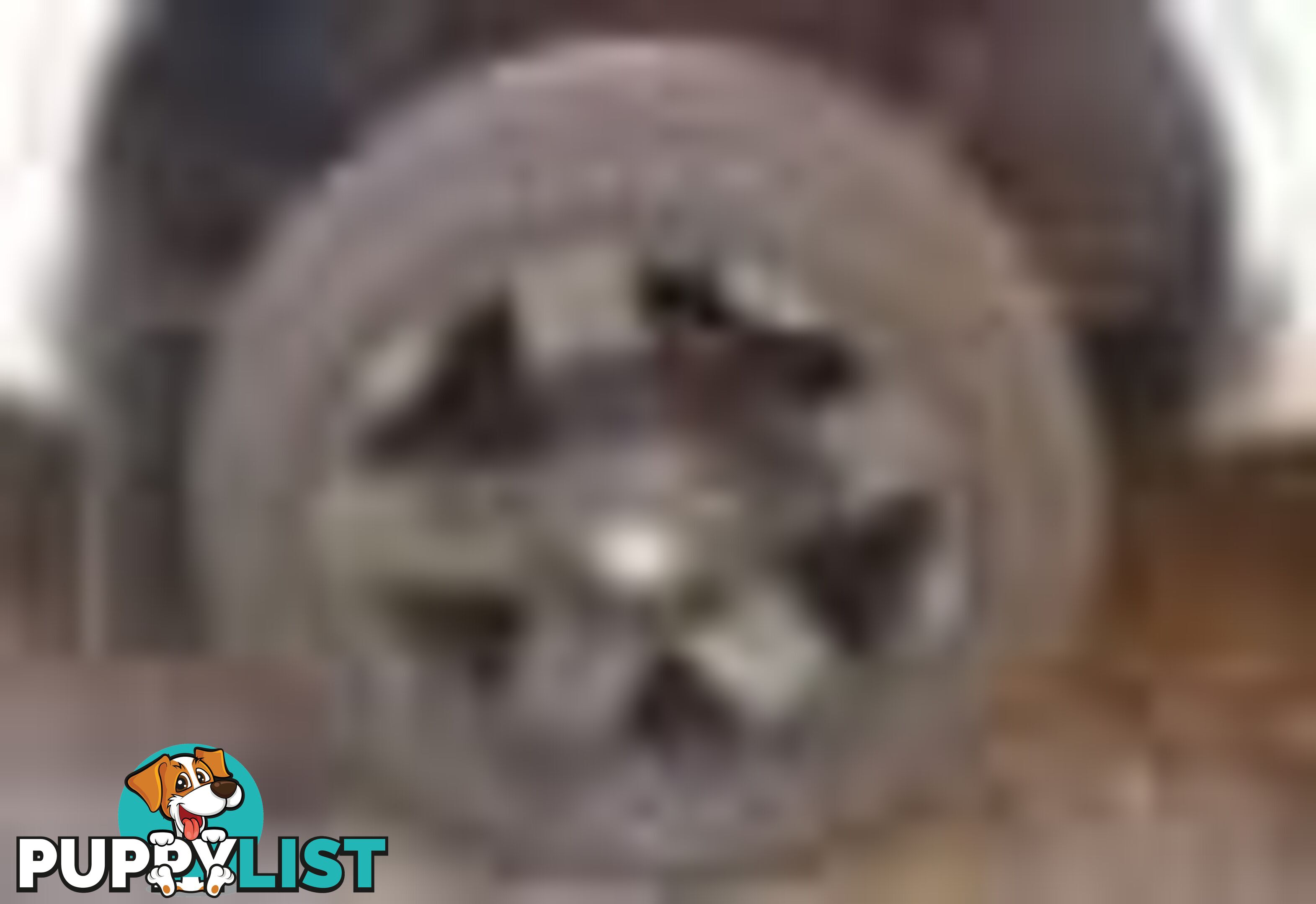 2004 Ford F250 XLT Wrecking Silver and we have others 1969-2021