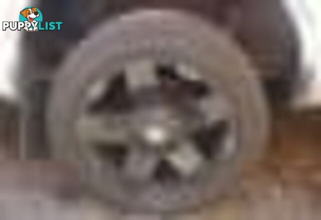 2004 Ford F250 XLT Wrecking Silver and we have others 1969-2021