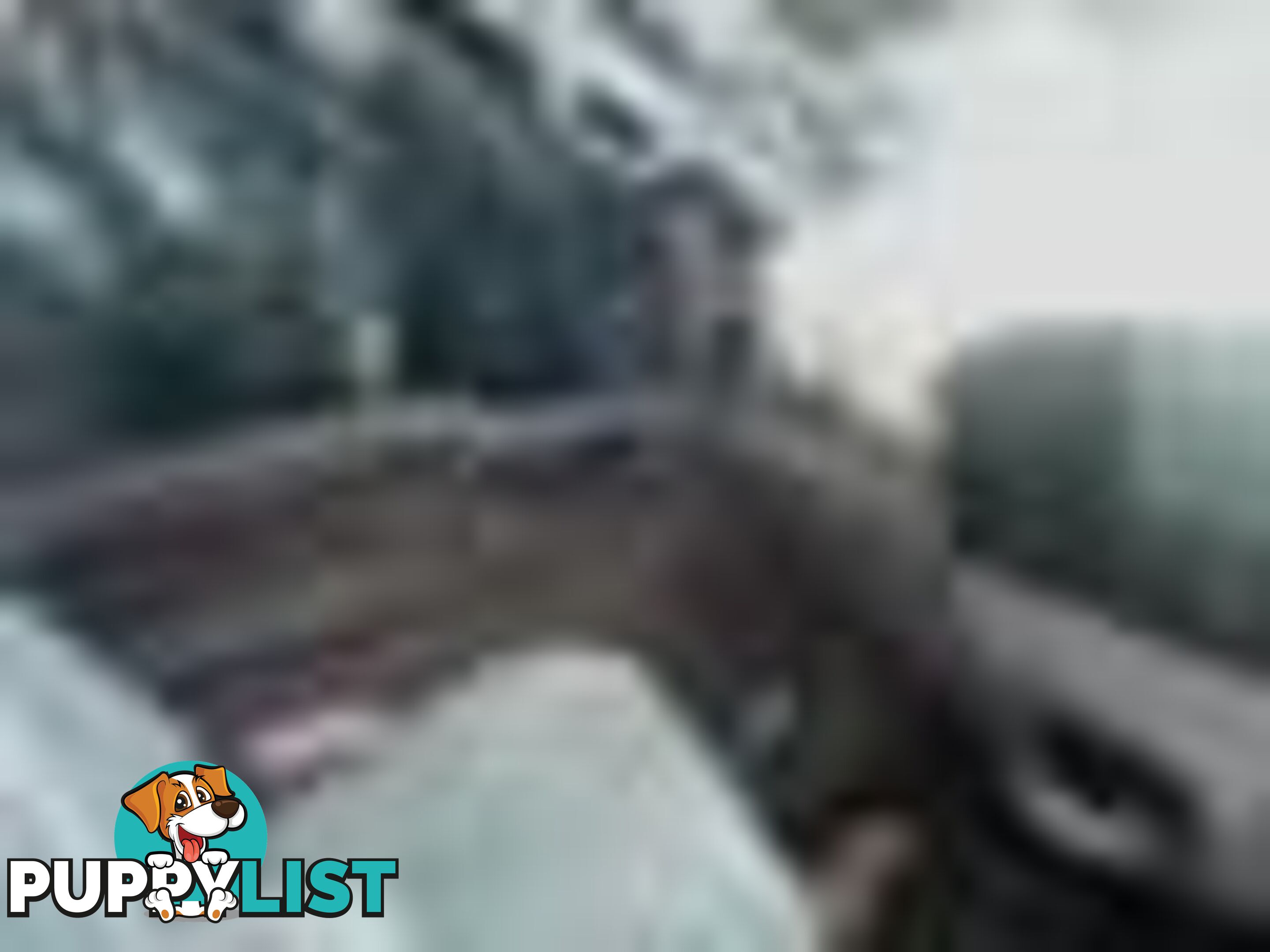 2004 Ford F250 XLT Wrecking Silver and we have others 1969-2021