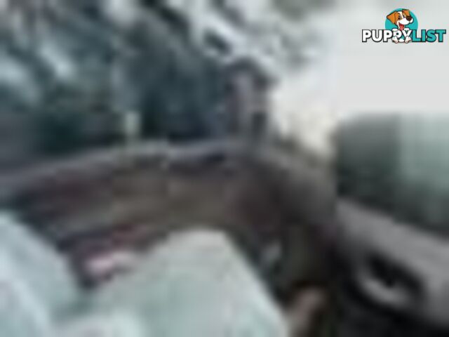 2004 Ford F250 XLT Wrecking Silver and we have others 1969-2021