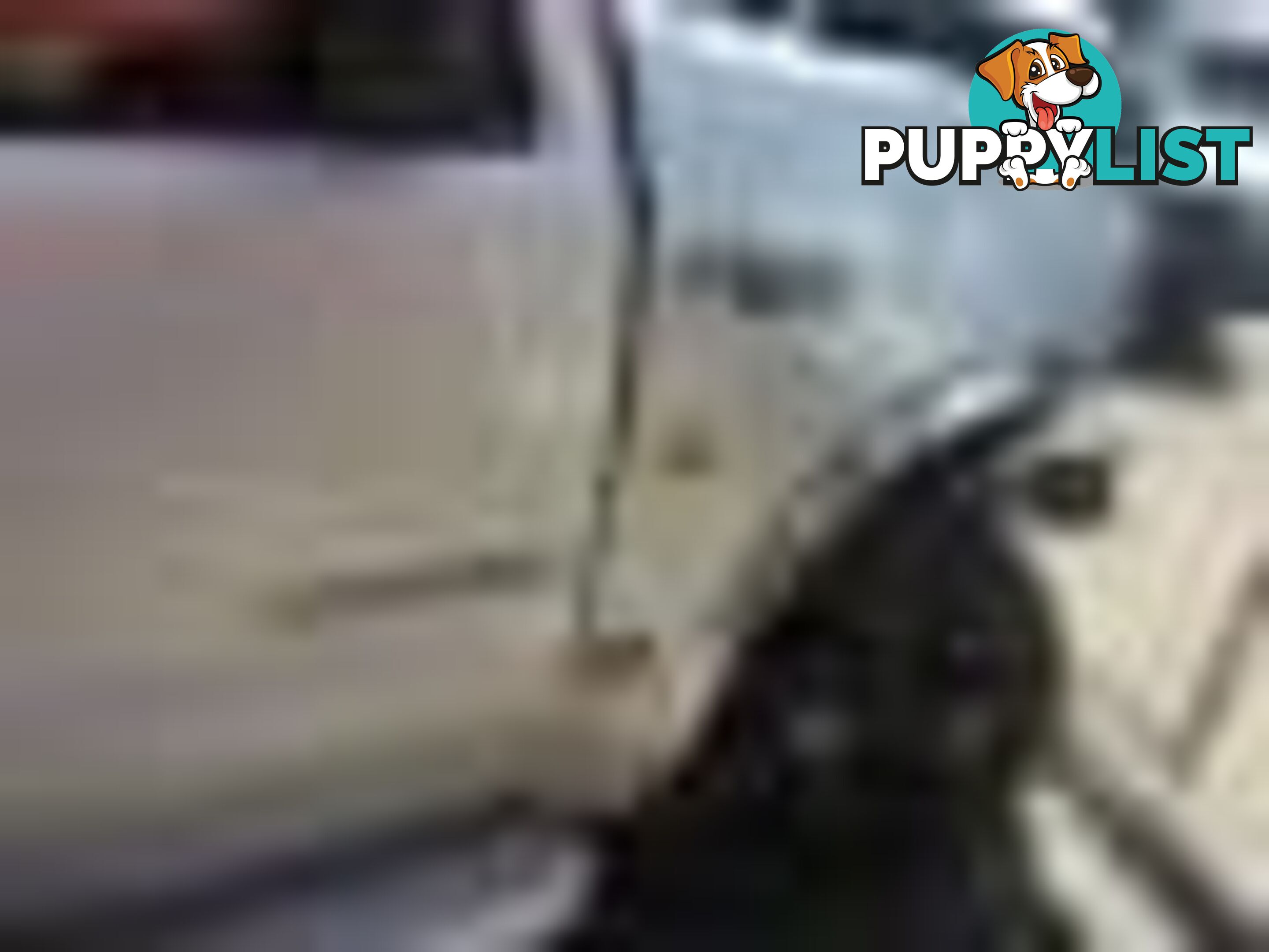 2004 Ford F250 XLT Wrecking Silver and we have others 1969-2021