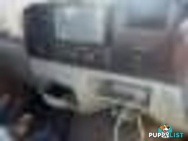 2004 Ford F250 XLT Wrecking Silver and we have others 1969-2021