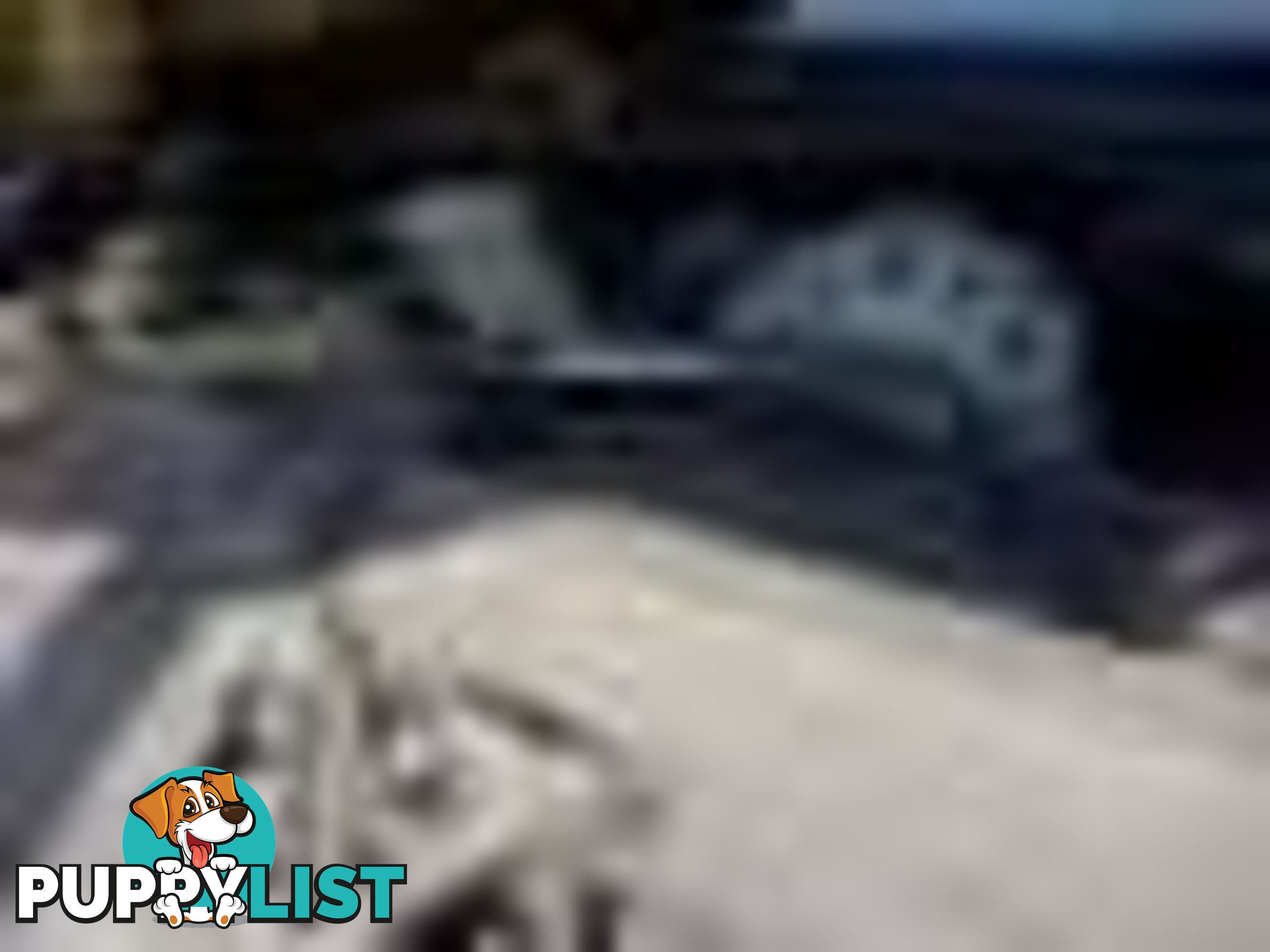 2004 Ford F250 XLT Wrecking Silver and we have others 1969-2021