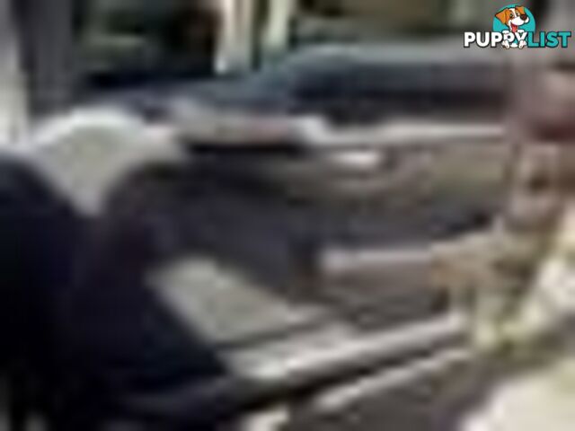 2004 Ford F250 XLT Wrecking Silver and we have others 1969-2021
