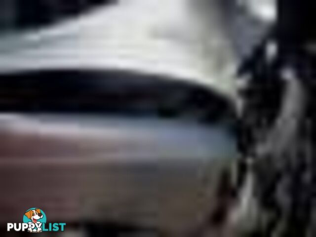 2004 Ford F250 XLT Wrecking Silver and we have others 1969-2021