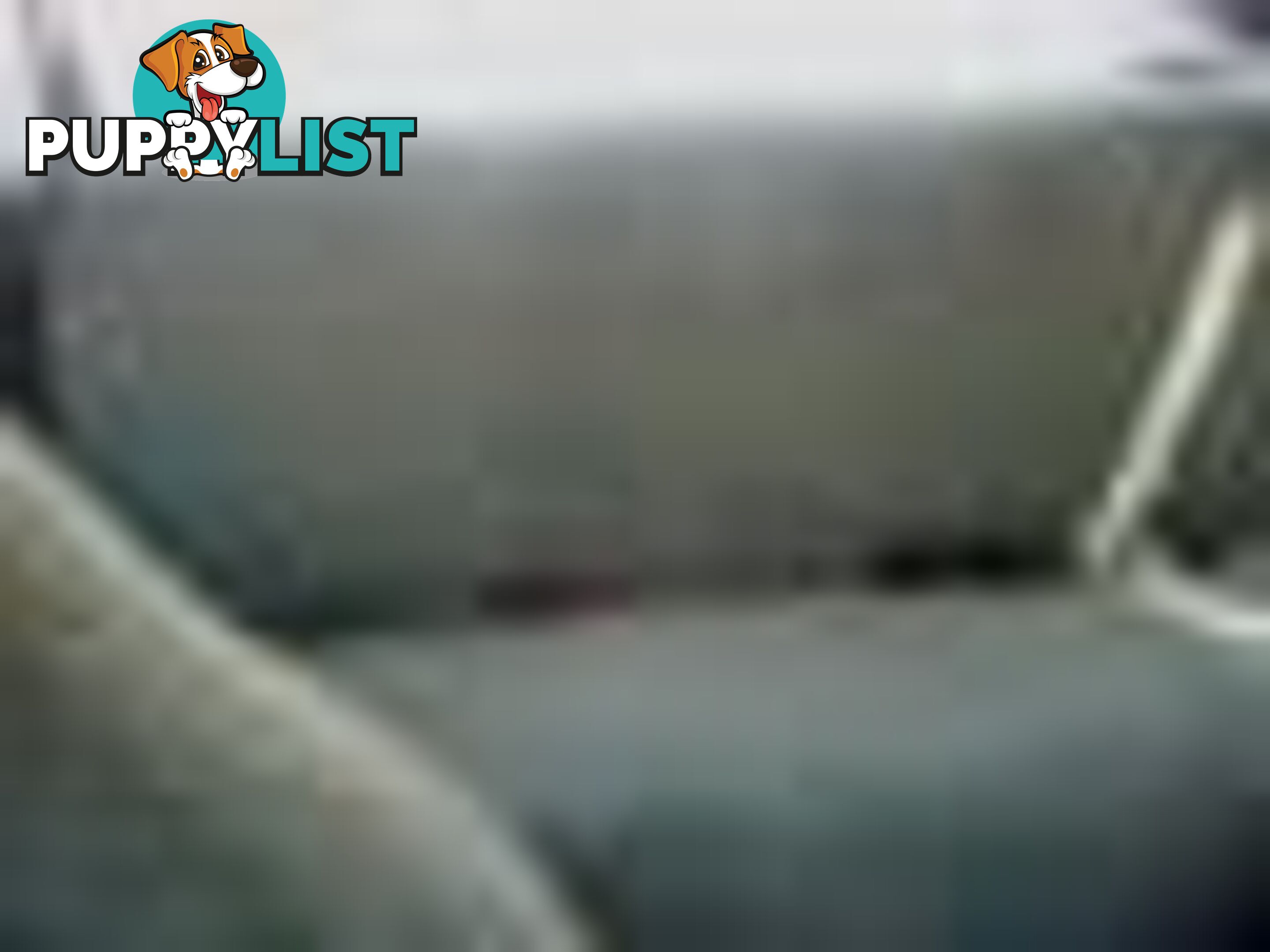 2004 Ford F250 XLT Wrecking Silver and we have others 1969-2021