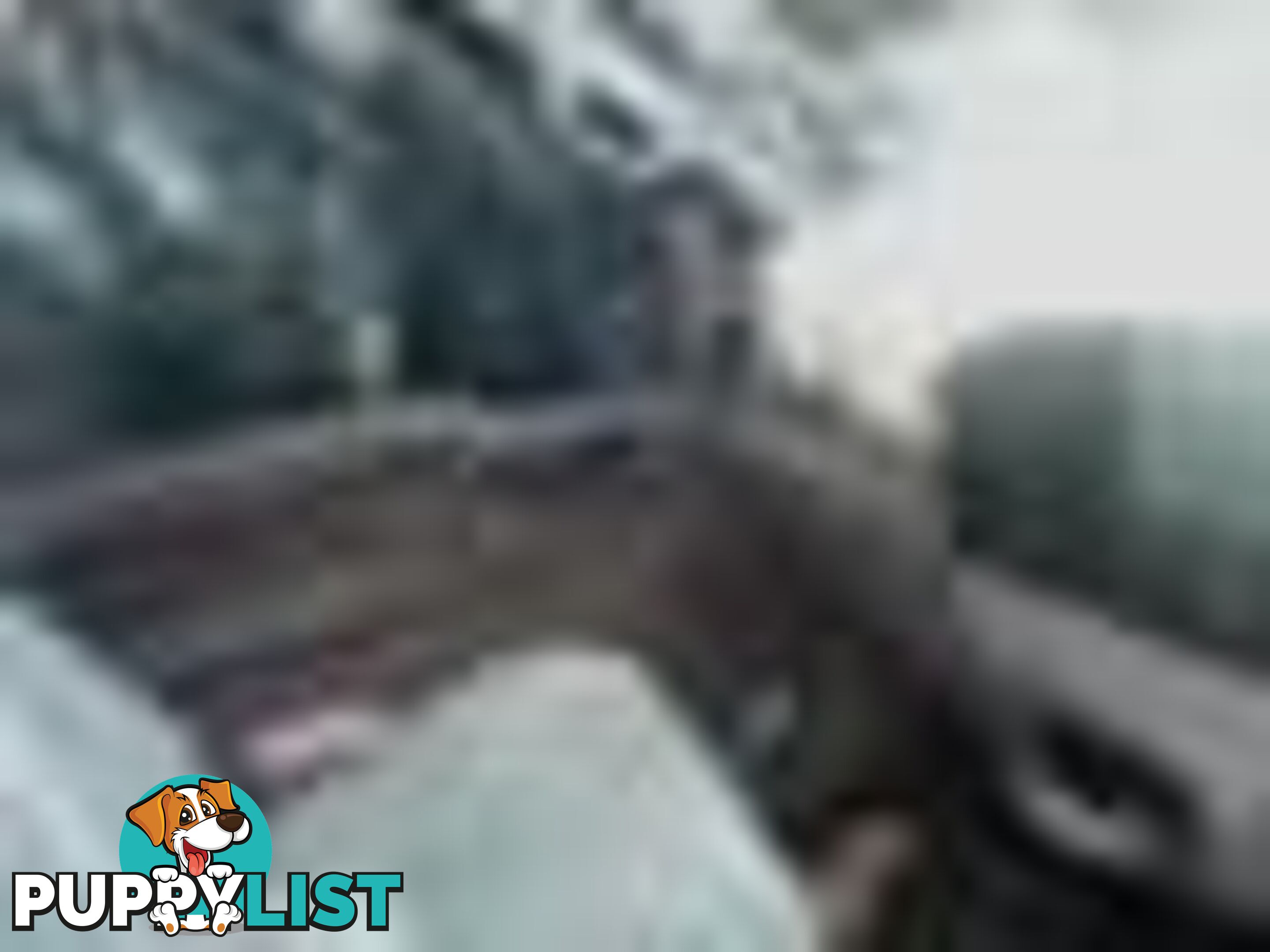 2004 Ford F250 Xlt Wrecking (Silver) and have others 1969-2021