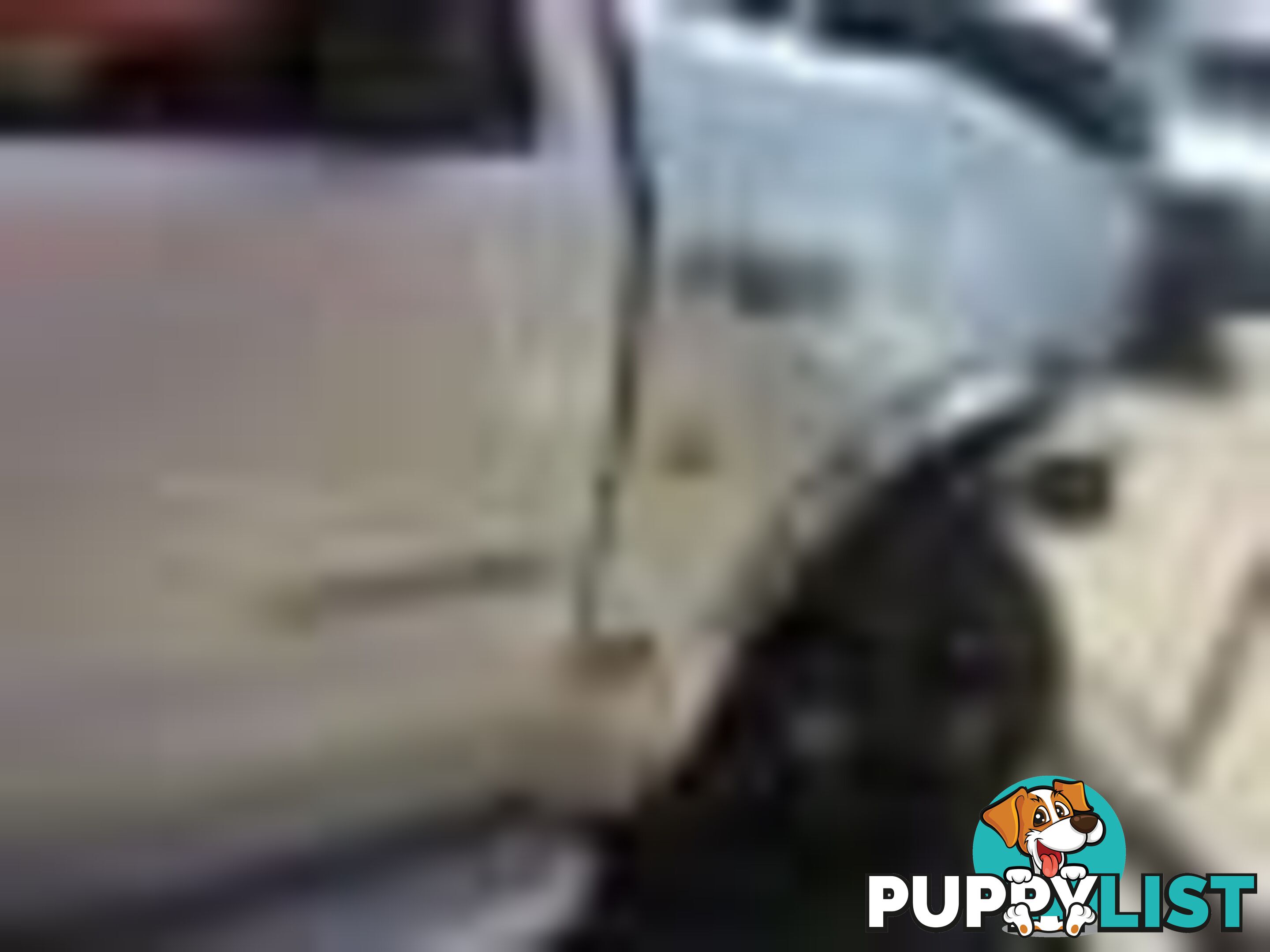 2004 Ford F250 Xlt Wrecking (Silver) and have others 1969-2021