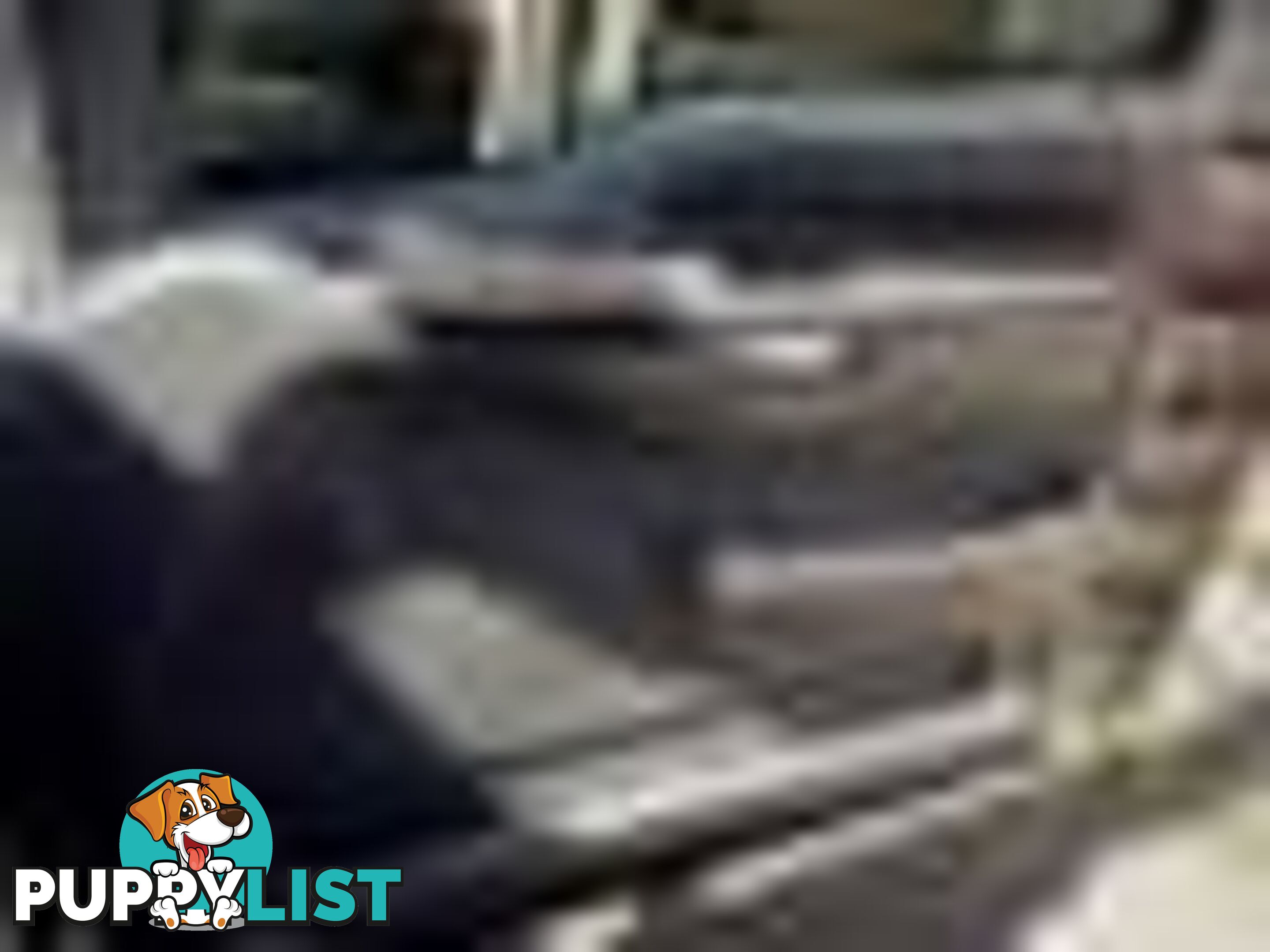 2004 Ford F250 Xlt Wrecking (Silver) and have others 1969-2021