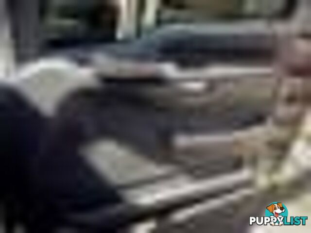 2004 Ford F250 Xlt Wrecking (Silver) and have others 1969-2021