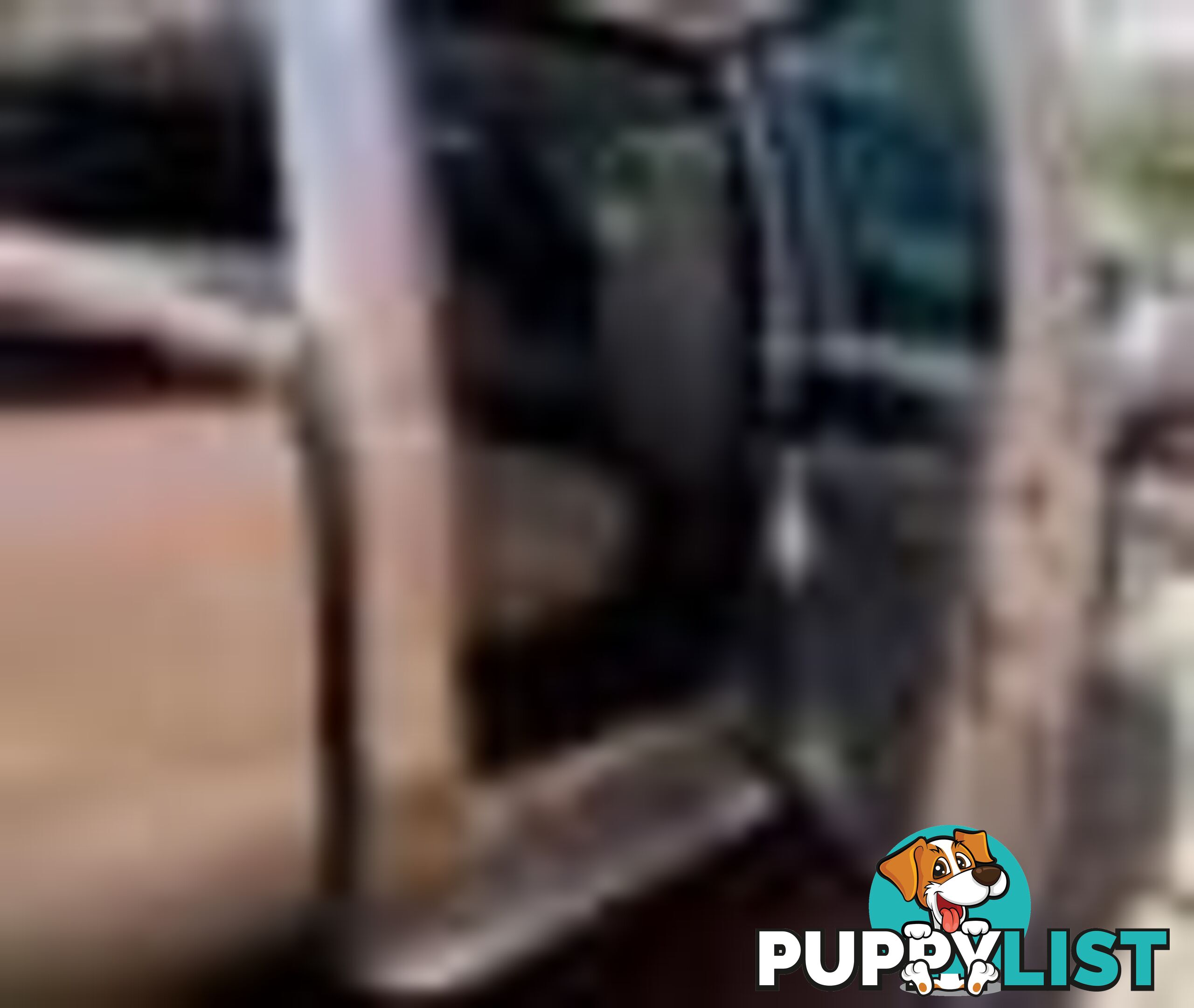 2004 Ford F250 Xlt Wrecking (Silver) and have others 1969-2021