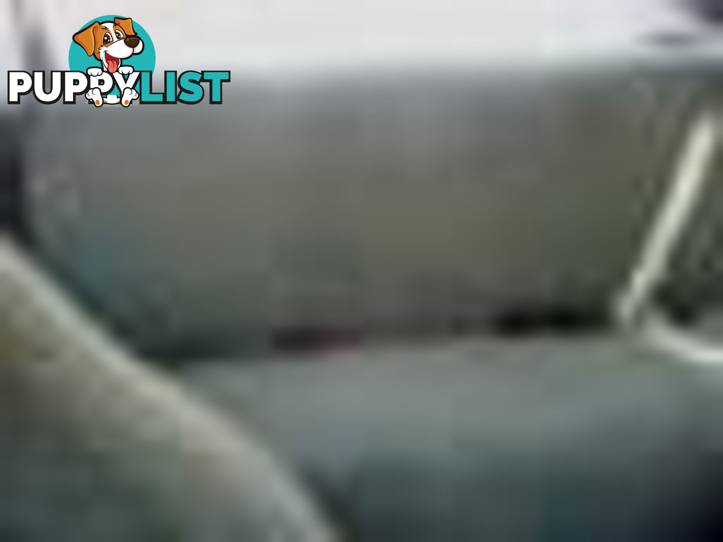 2004 Ford F250 Xlt Wrecking (Silver) and have others 1969-2021