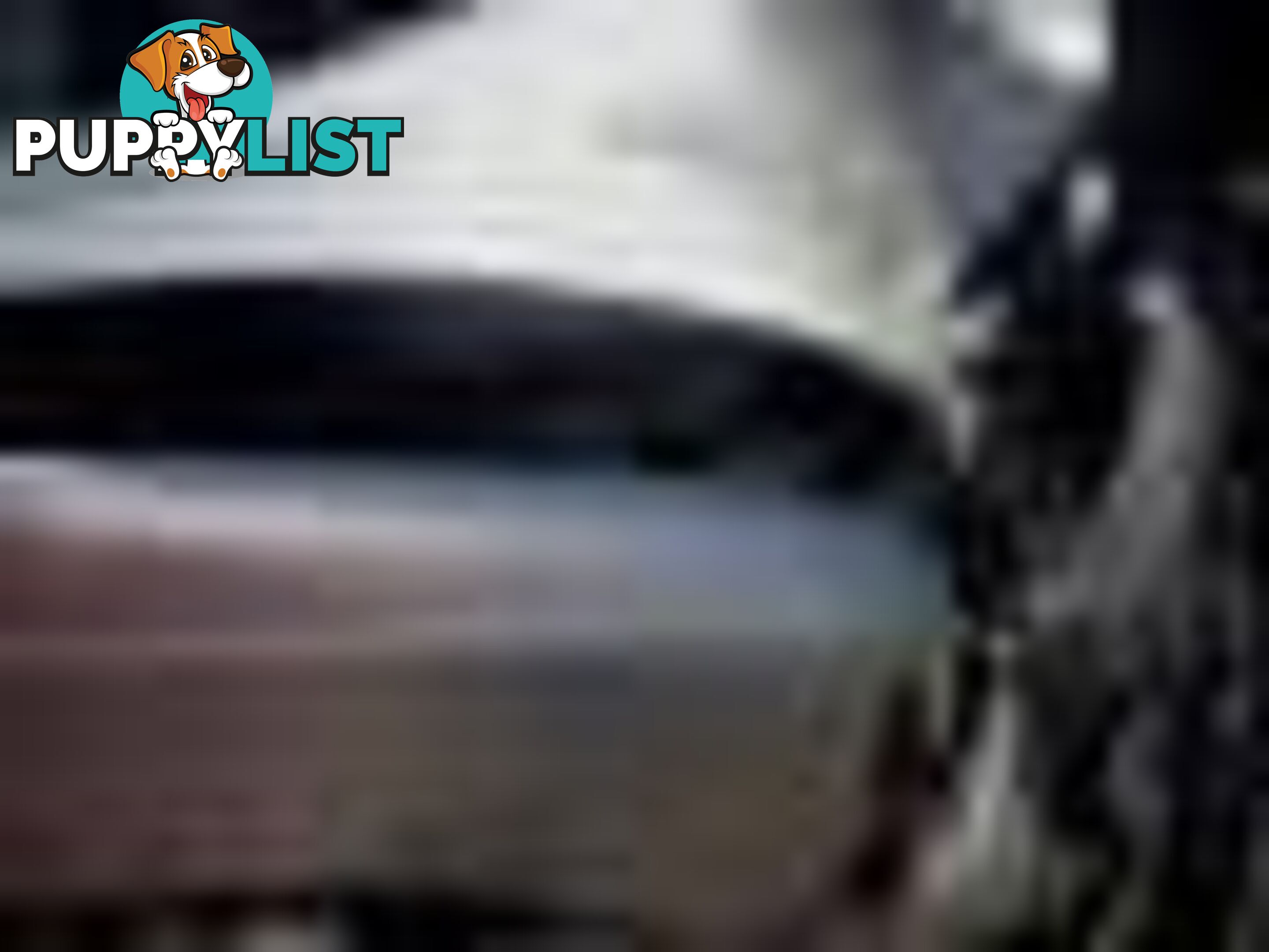 2004 Ford F250 Xlt Wrecking (Silver) and have others 1969-2021