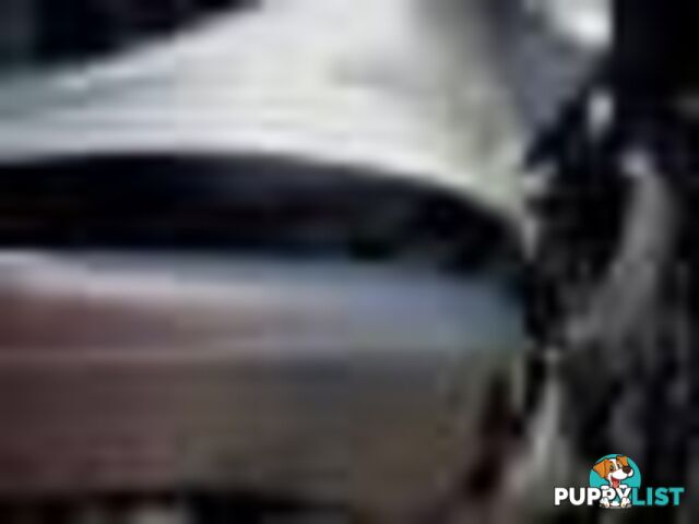 2004 Ford F250 Xlt Wrecking (Silver) and have others 1969-2021