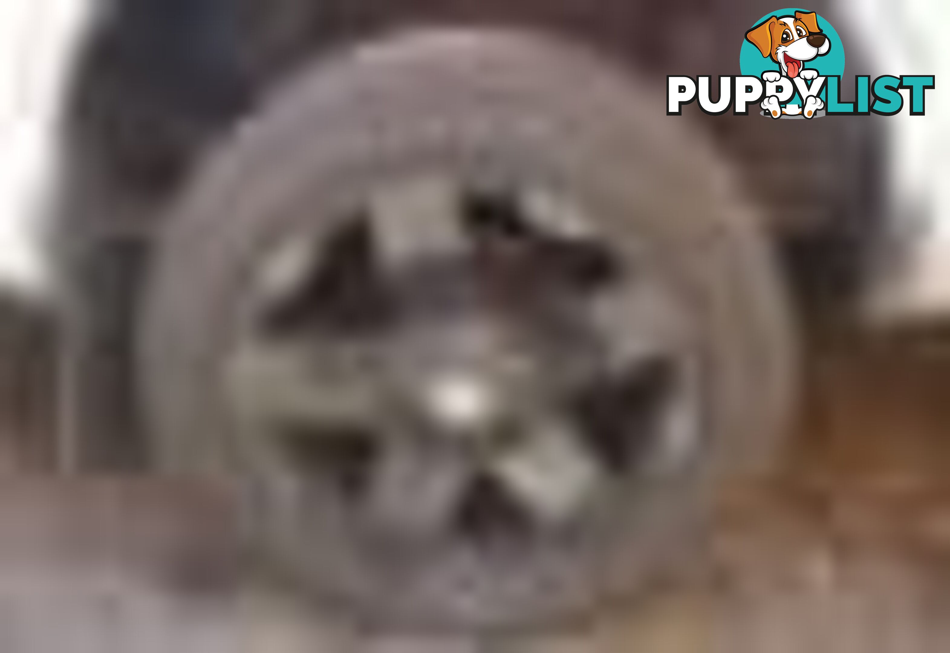 2004 Ford F250 Xlt Wrecking (Silver) and have others 1969-2021