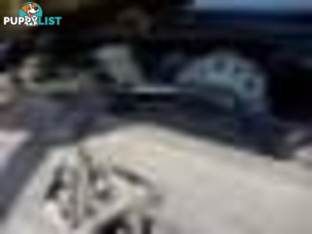 2004 Ford F250 Xlt Wrecking (Silver) and have others 1969-2021