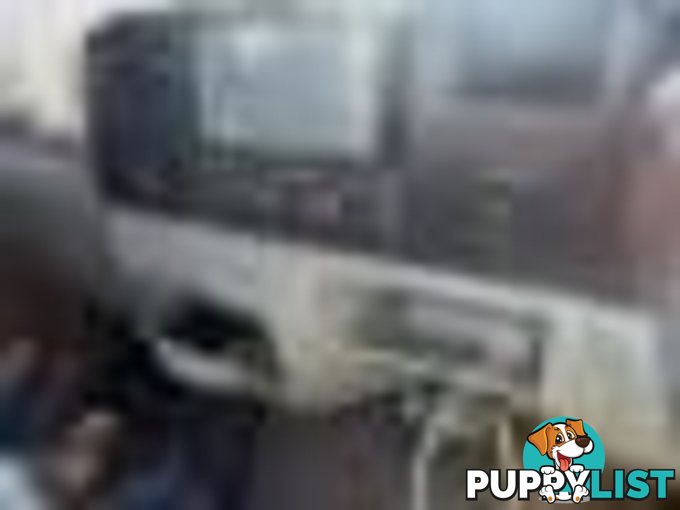 2004 Ford F250 Xlt Wrecking (Silver) and have others 1969-2021