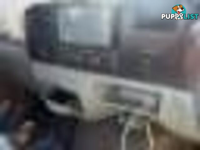 2004 Ford F250 Xlt Wrecking (Silver) and have others 1969-2021