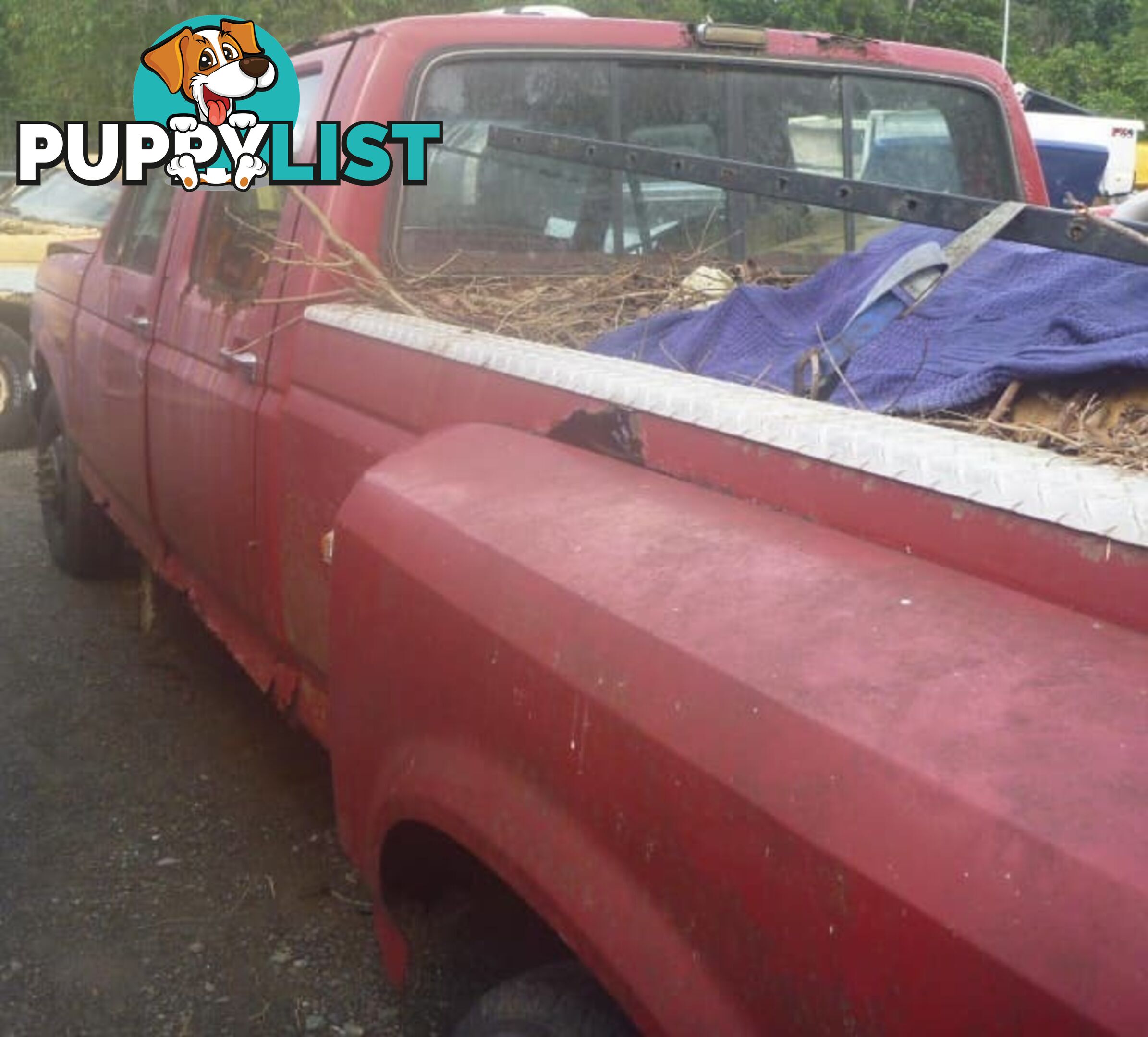 •	2004 Ford F250 Superduty XLT (10 Currently being dismantled)