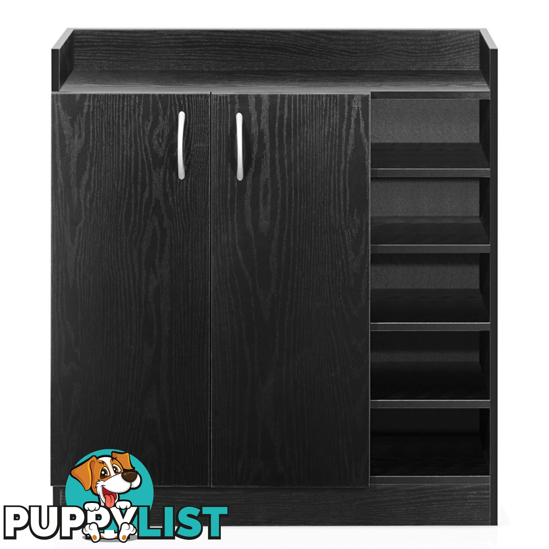 2 Doors Shoe Cabinet Storage Cupboard Black