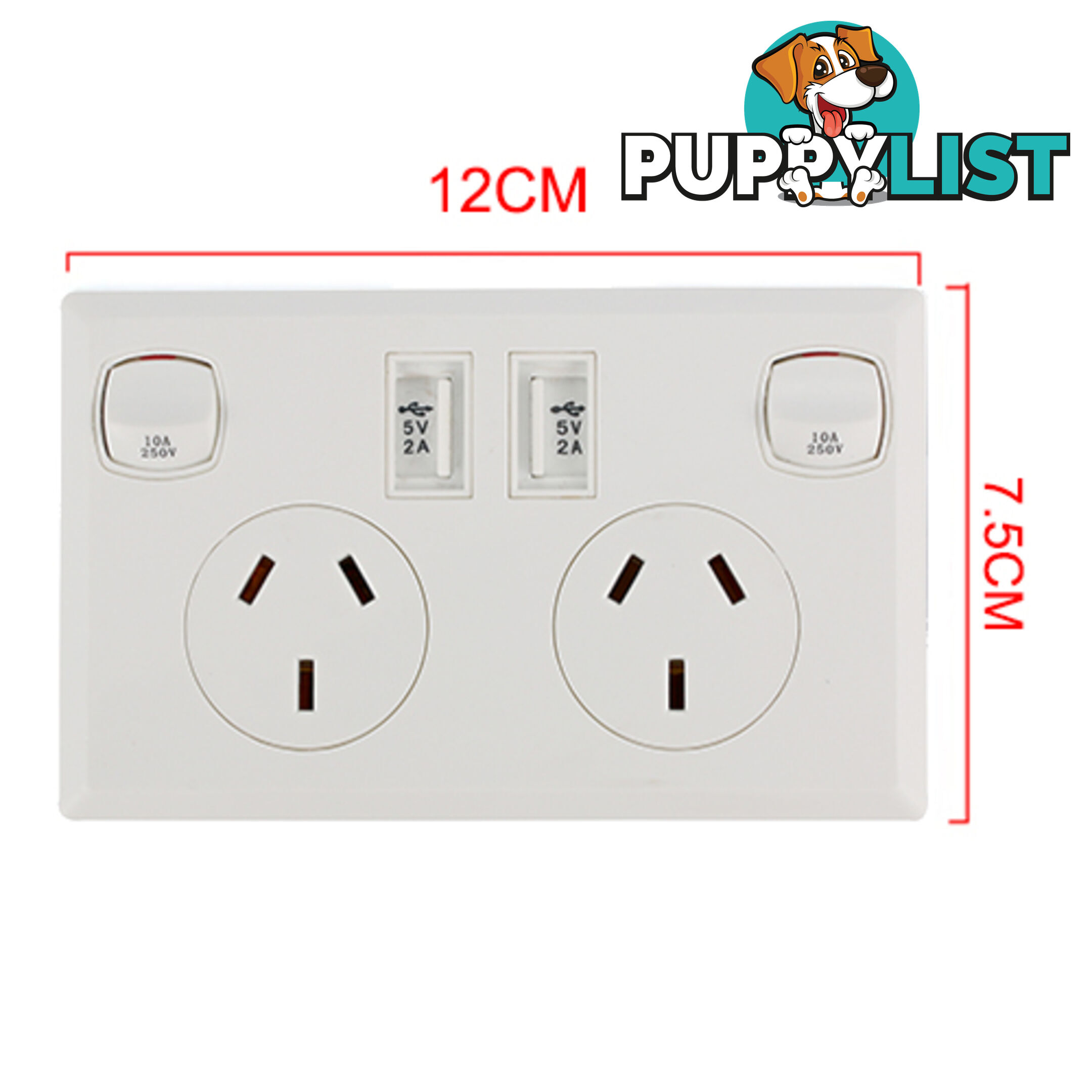 10A Double Australian USB Power Point Power Supply Wall Plug 2 Socket Switch