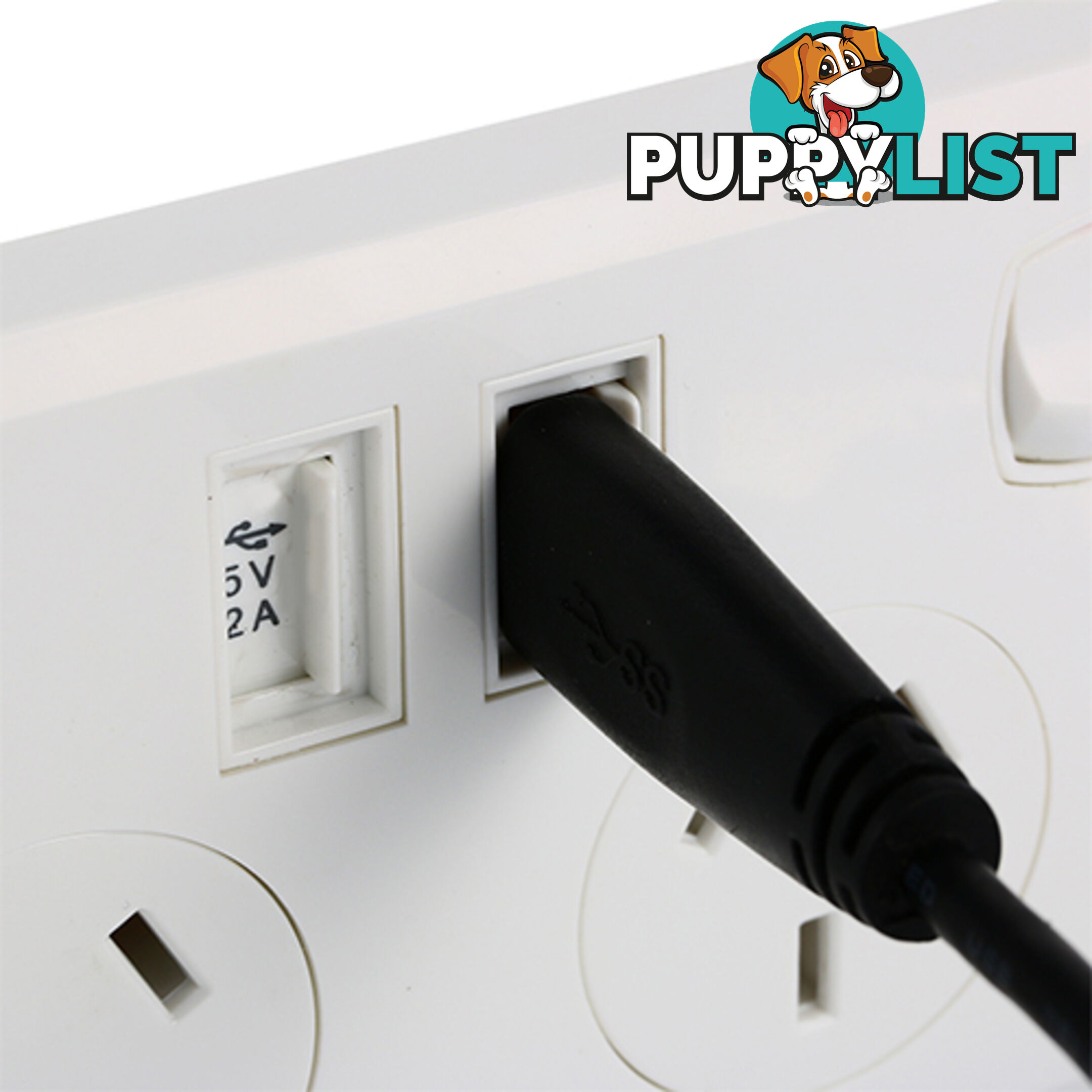 10A Double Australian USB Power Point Power Supply Wall Plug 2 Socket Switch