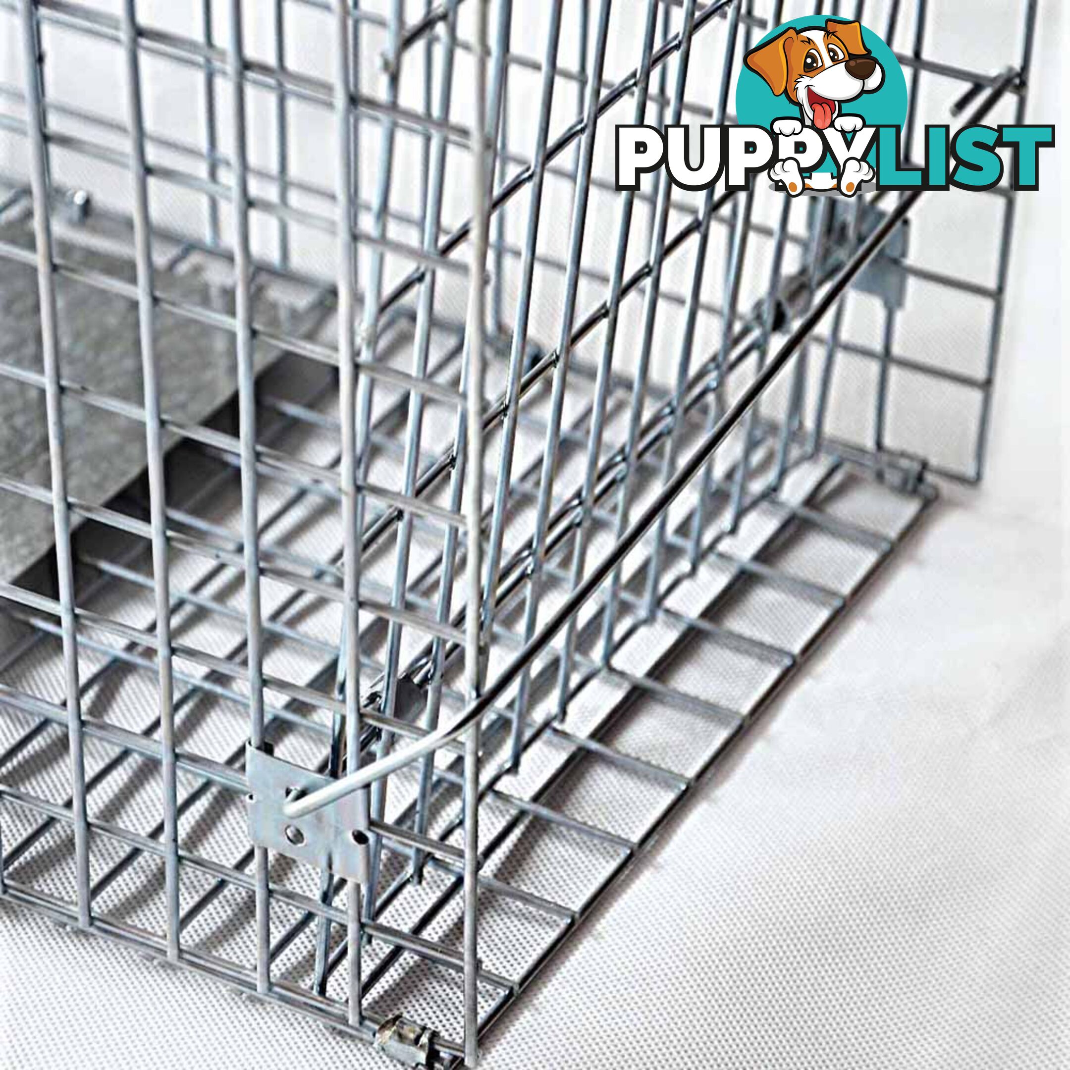 2 Safe Humane Animal Trap Cage Possum Cat Rabbit Fox Koala Hare Bird Live Catch