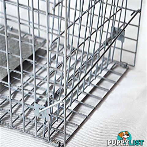 2 Safe Humane Animal Trap Cage Possum Cat Rabbit Fox Koala Hare Bird Live Catch