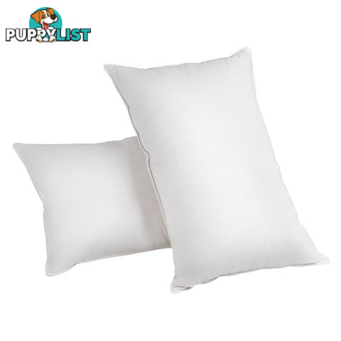 2 Pcs Duck Feathers Down Pillow w/ Bag