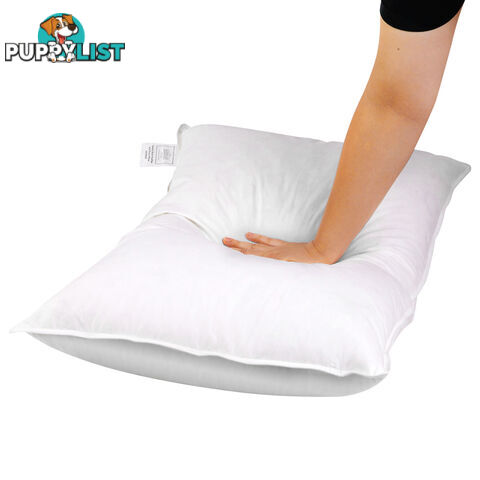 2 Pcs Duck Feathers Down Pillow w/ Bag