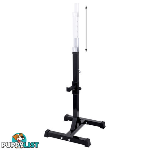 Squat Rack Bench Press Weight Lifting Stand Fitness