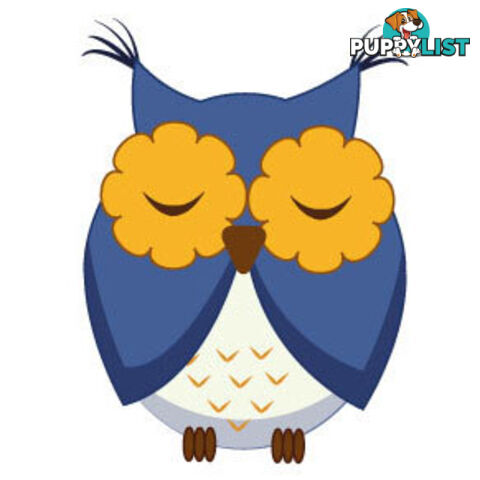 Cute blue owl Wall Sticker - Totally Movable