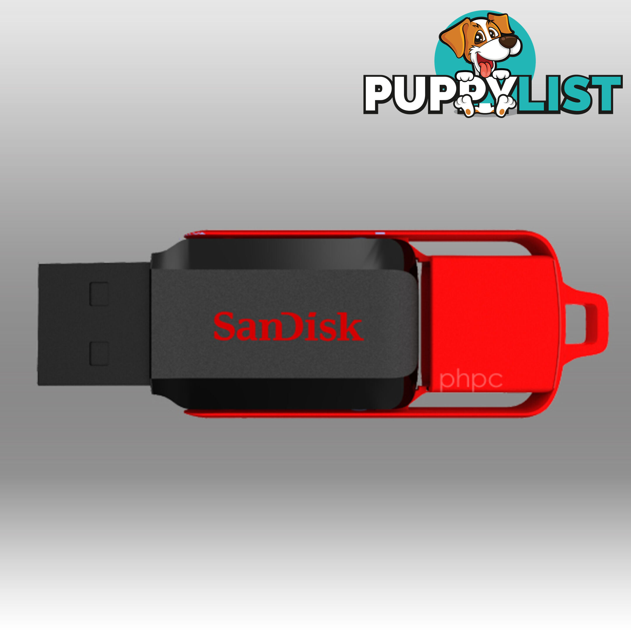 Sandisk Cruzer Switch CZ52 32GB USB Flash Drive