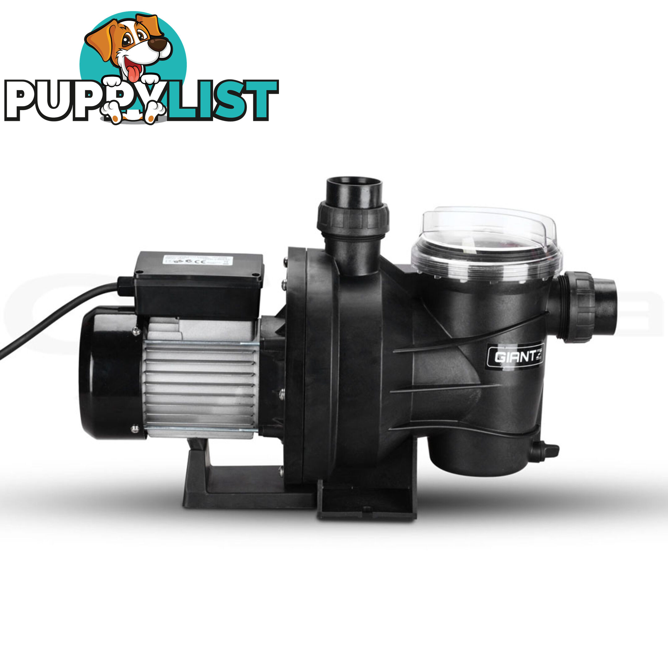 1200w Swimming Pool Pump 23000L/hour