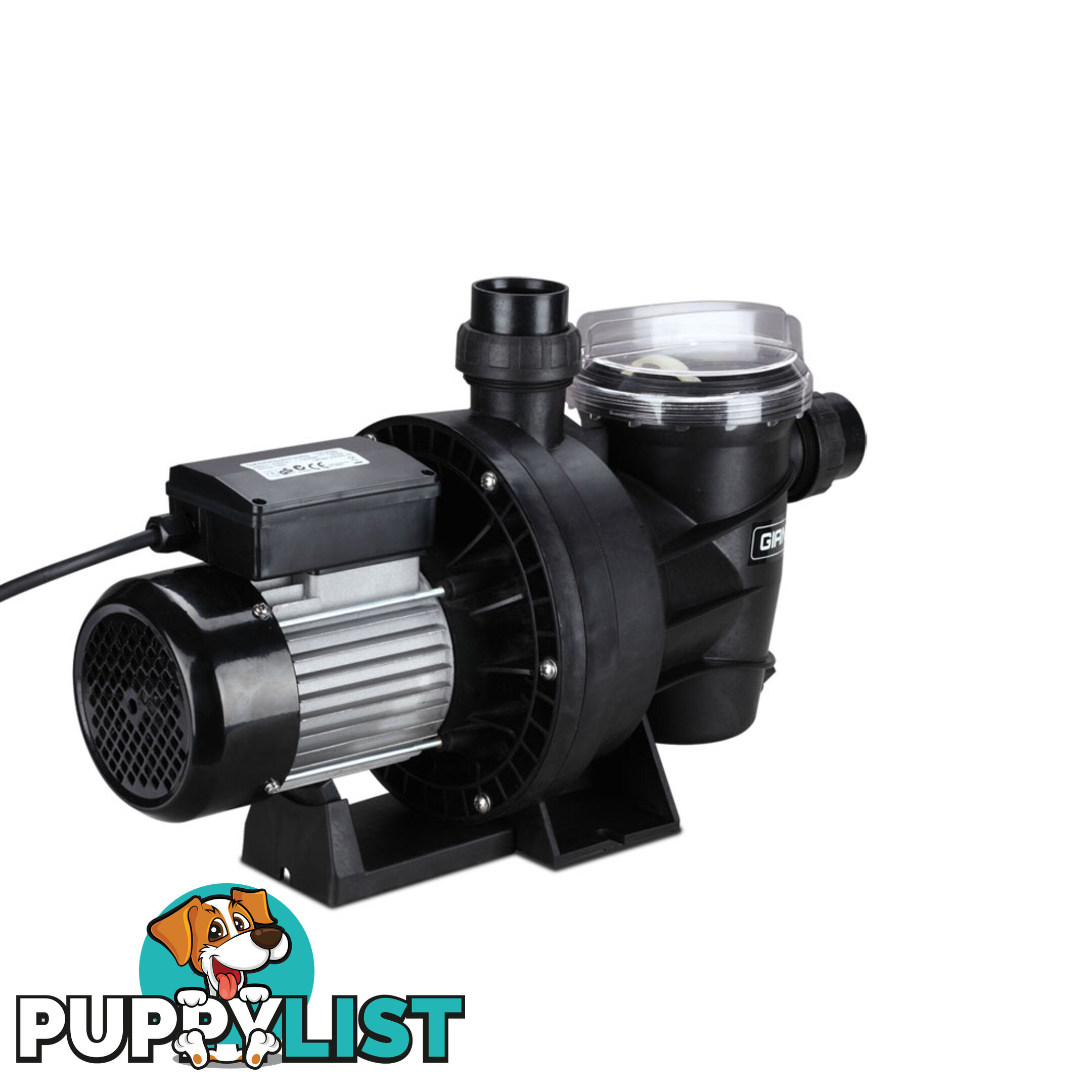 1200w Swimming Pool Pump 23000L/hour