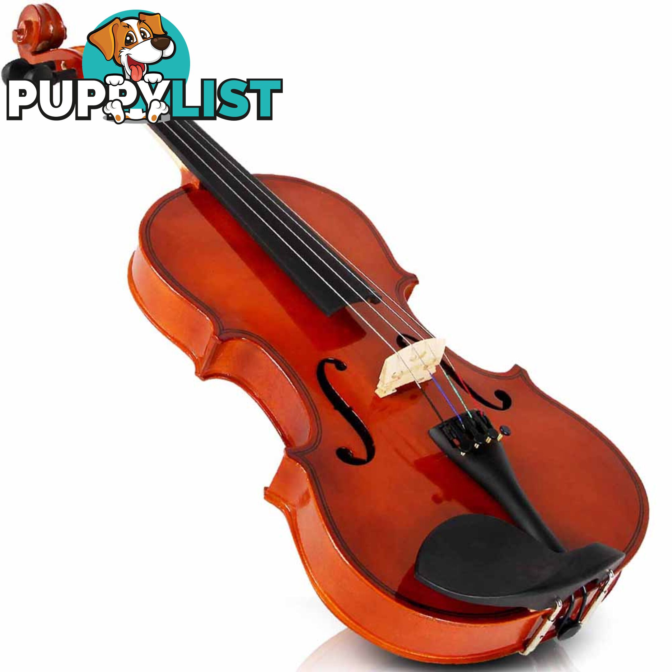 Full Size 4/4 Natural Wooden Beginner Violin Set Brown