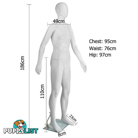 Full Body Male Mannequin Cloth Display Tailor Dressmaker White 186cm