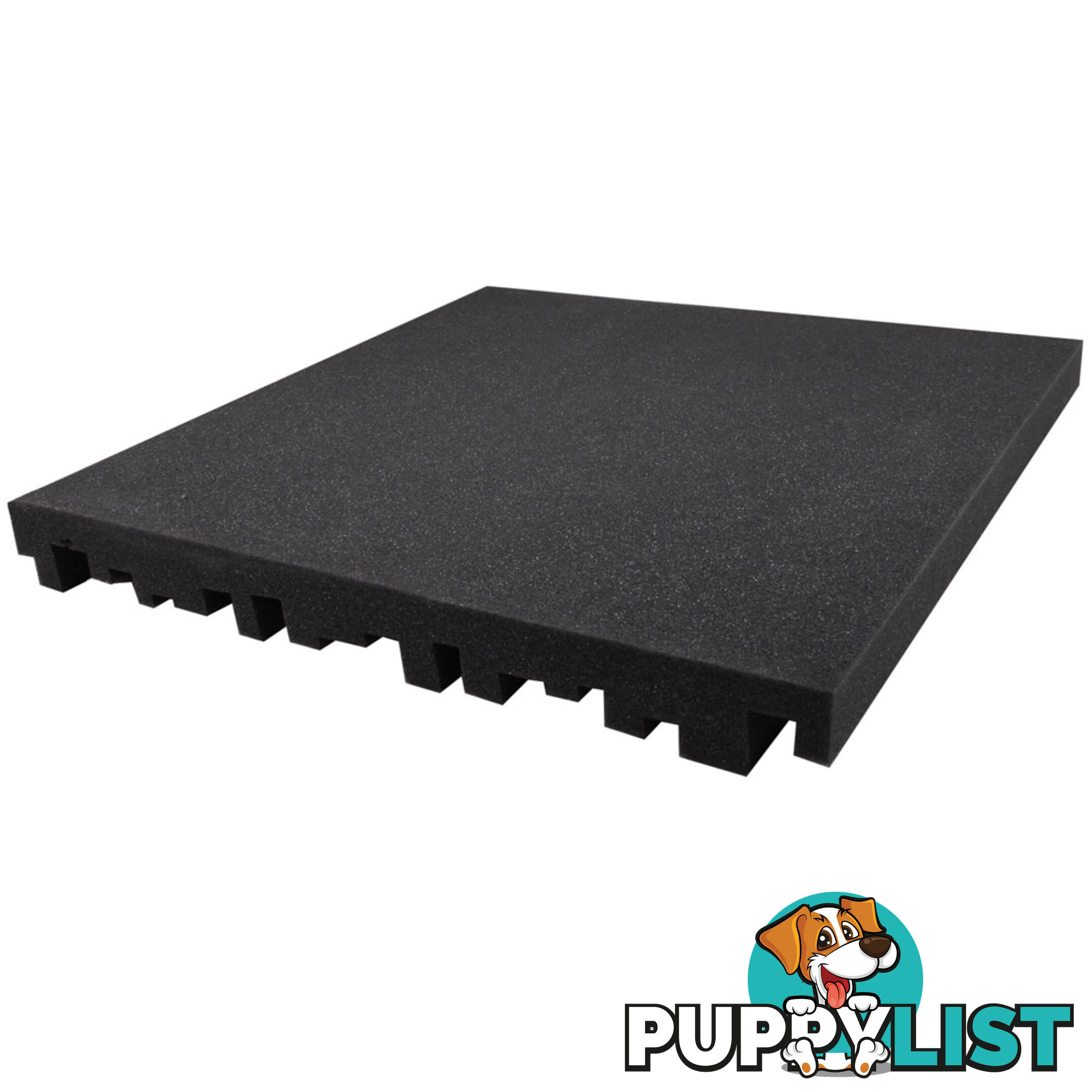 10 Studio Acoustic Foam Home Panel Treatment Sound Absorption Proofing Batts