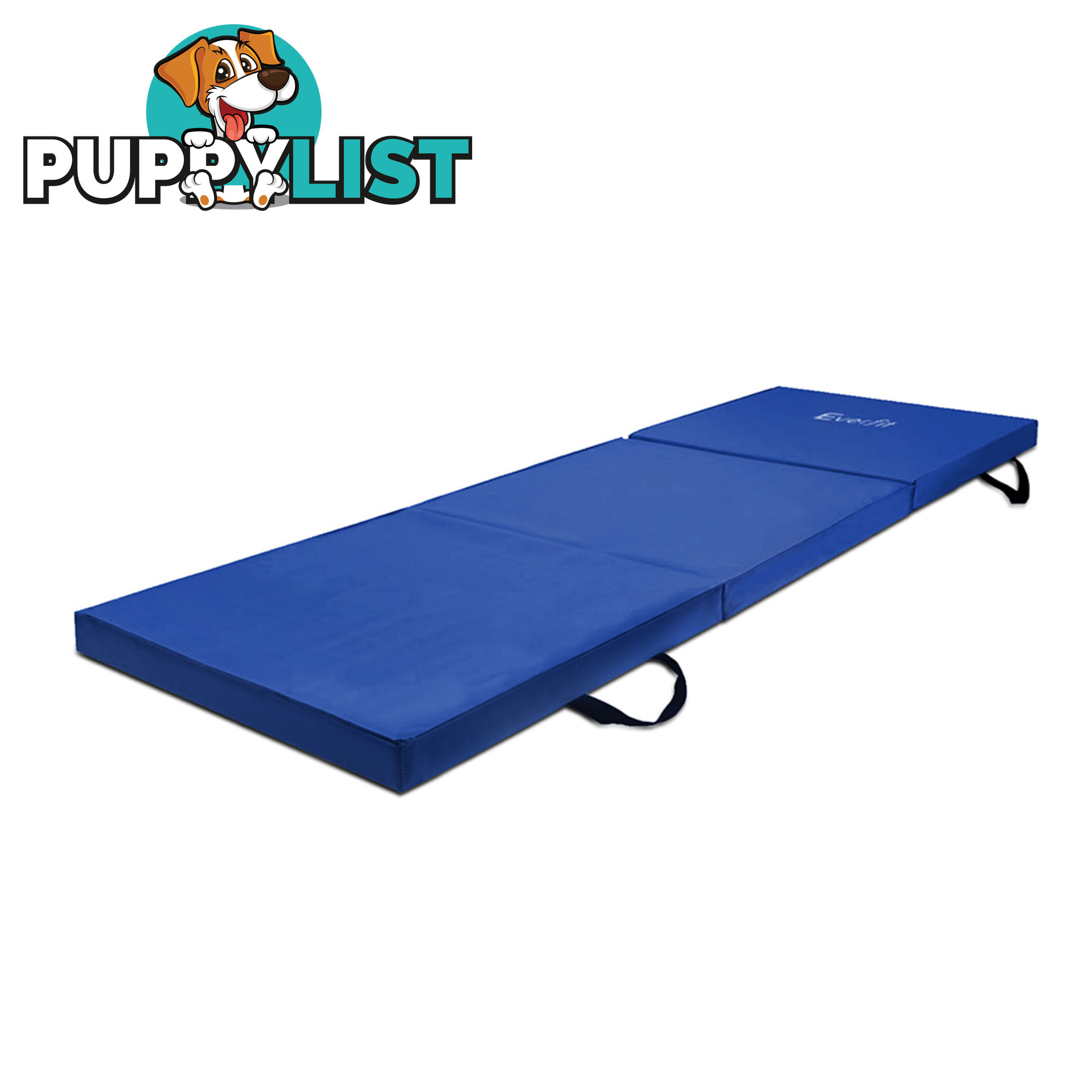 Everfit Trifold Exercise Mat