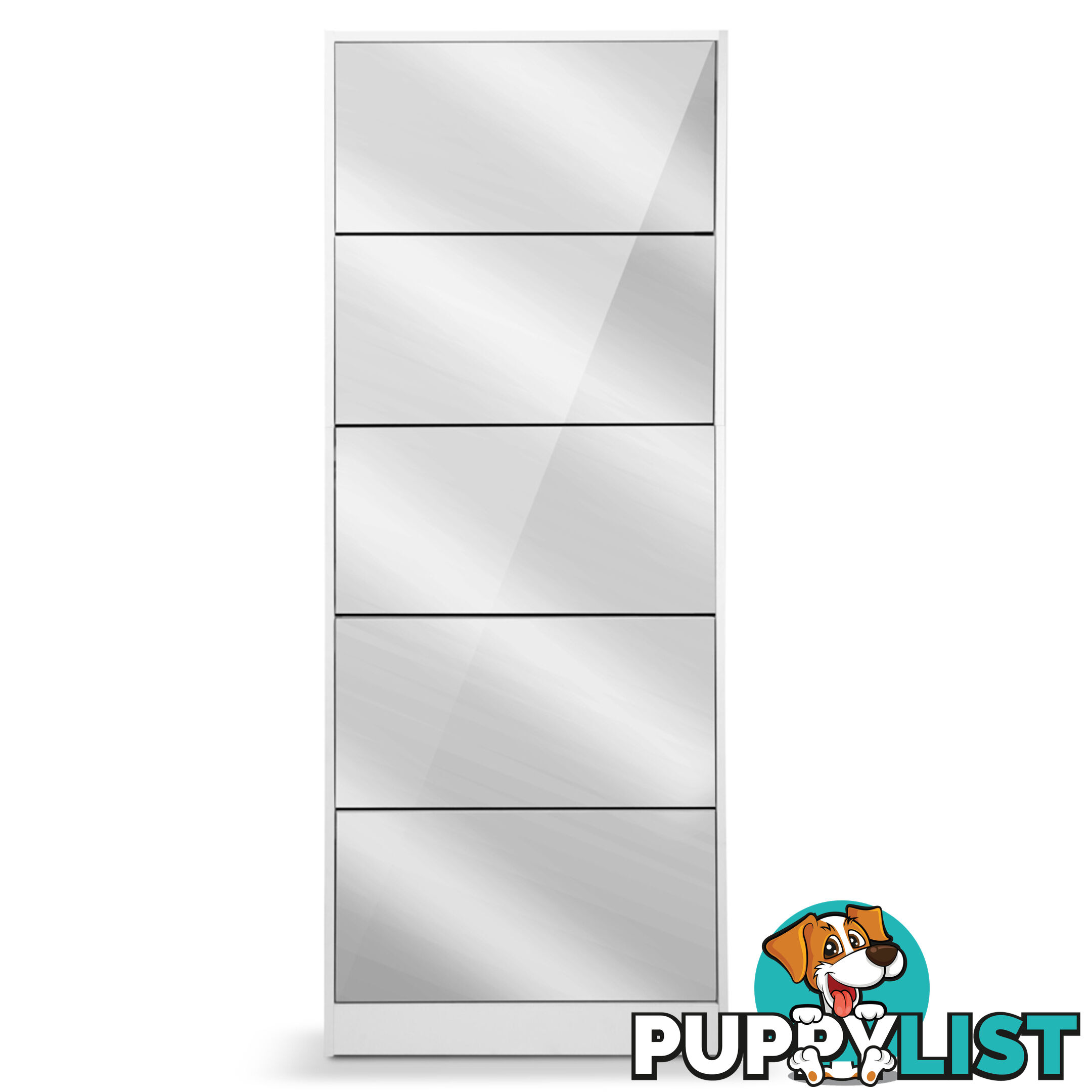 Mirrored Shoe Cabinet Storage 5 Drawers Shelf White