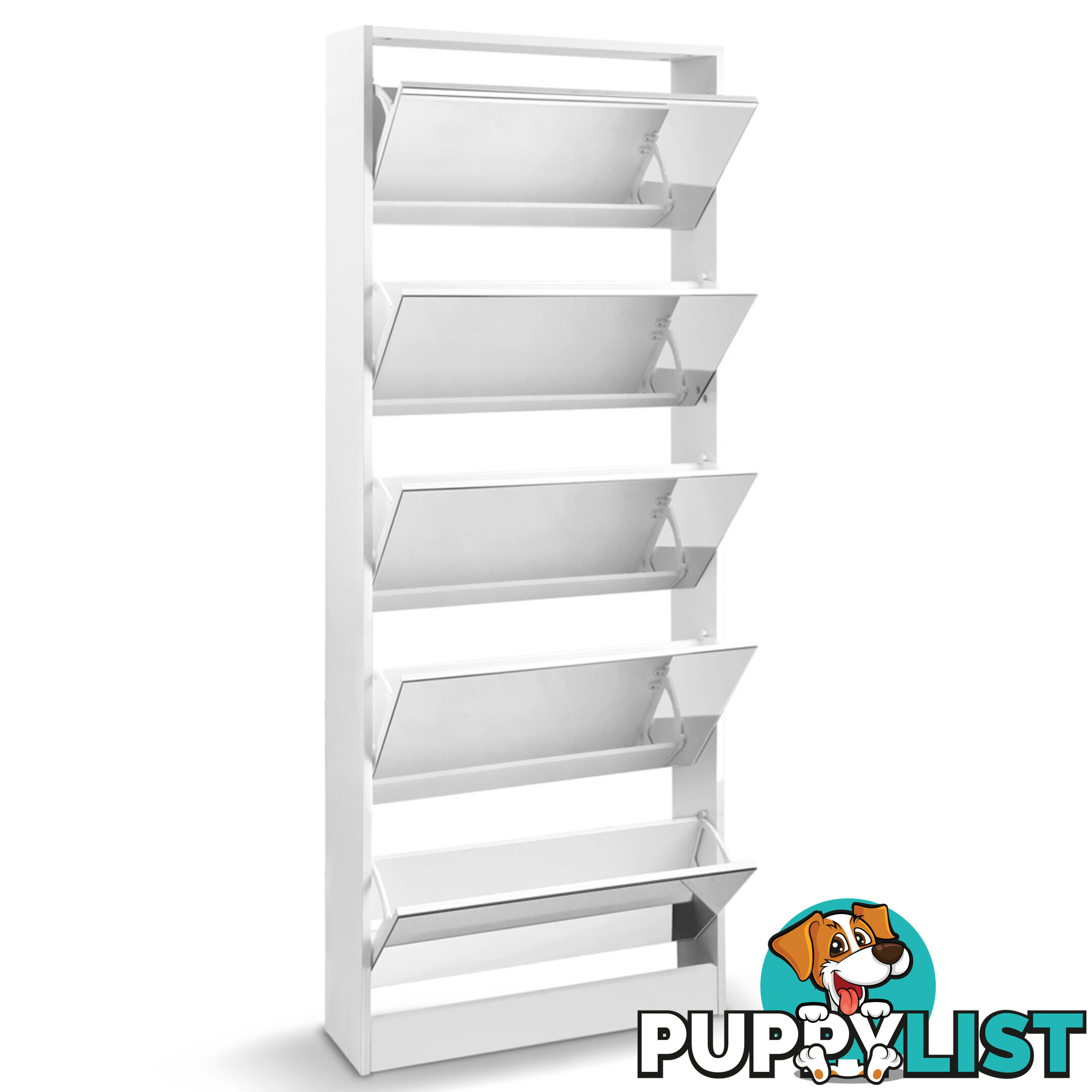 Mirrored Shoe Cabinet Storage 5 Drawers Shelf White